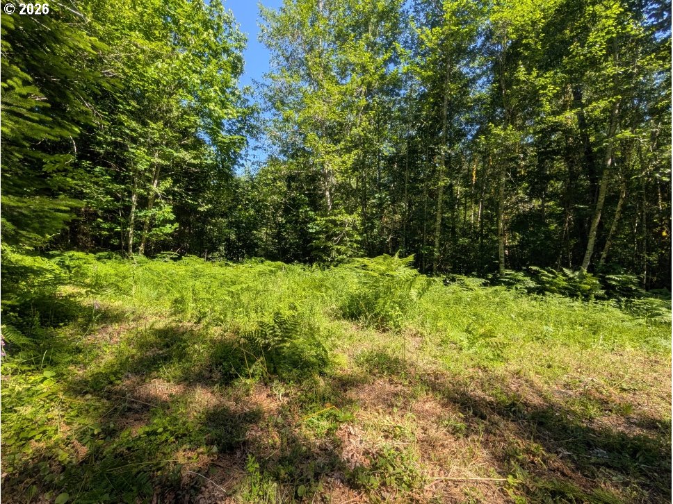 20284 E Carnarvon Dr Property Photo 13