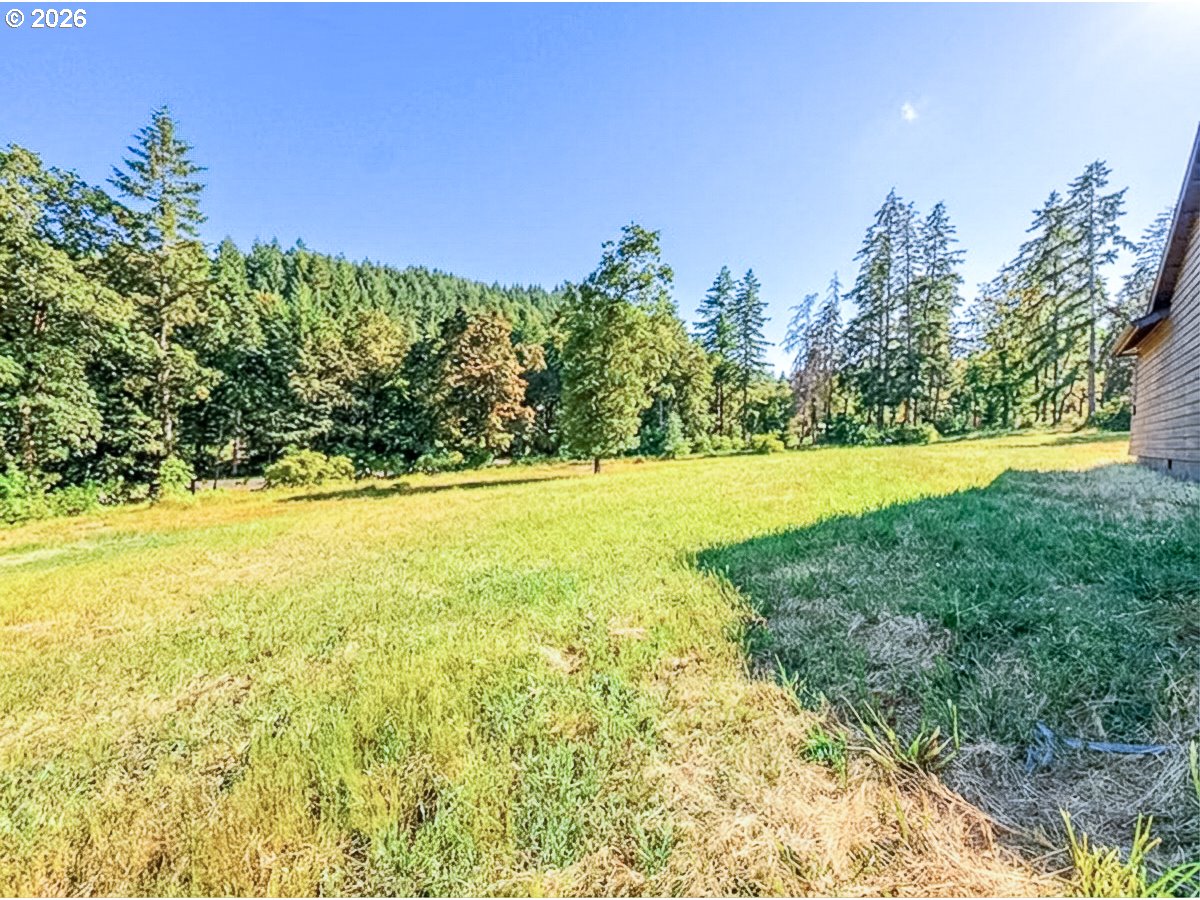 24741 Hall Rd Property Photo 38