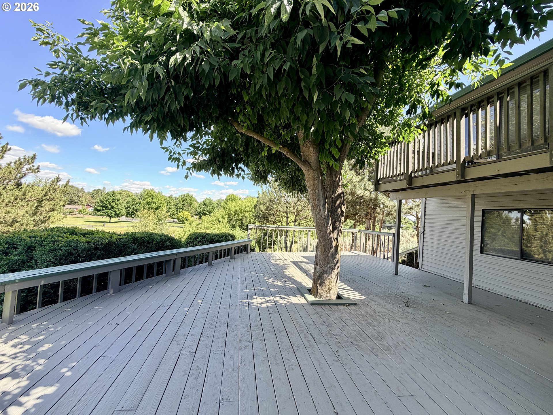 29843 Royce Ln Property Photo 5