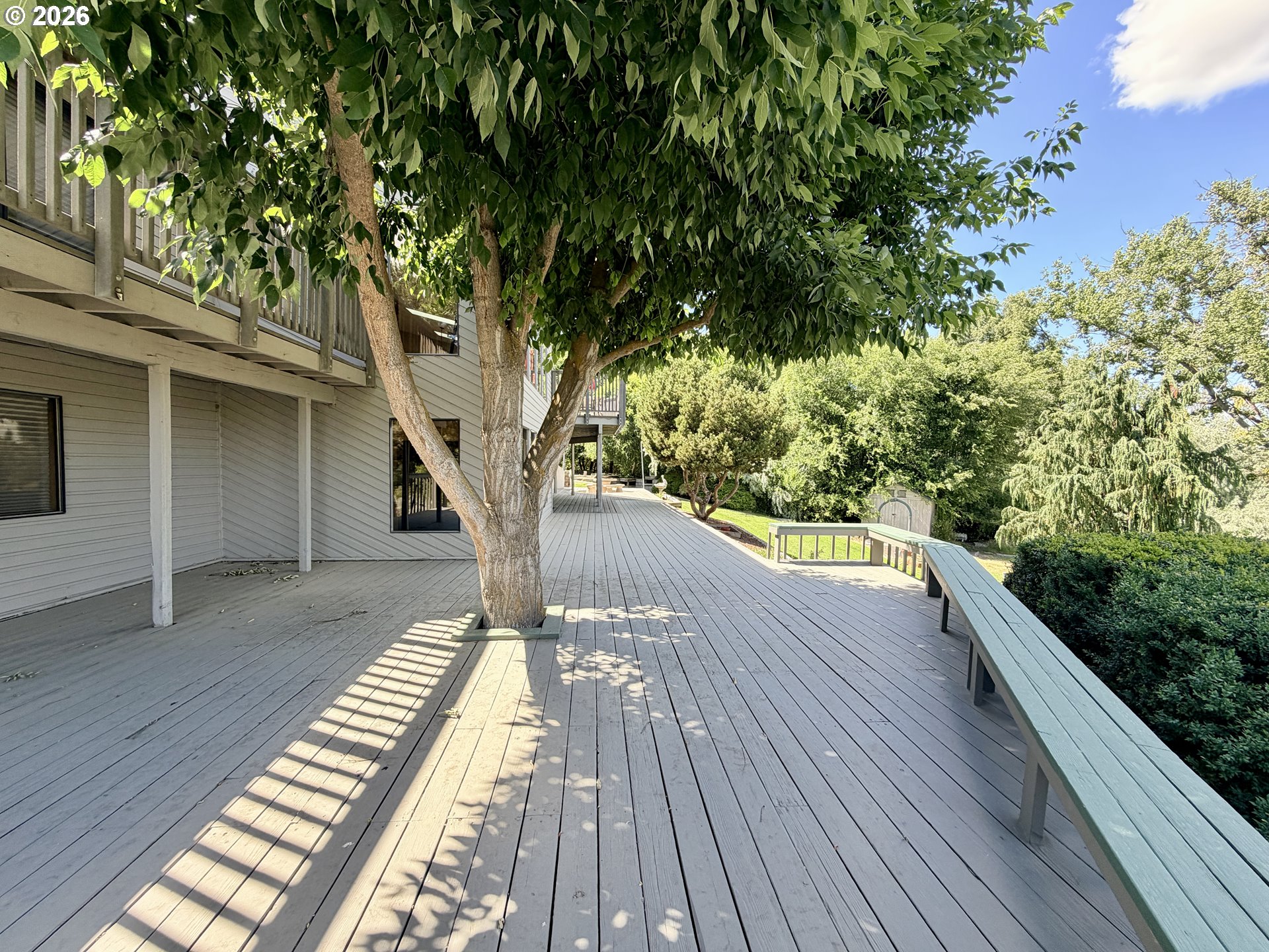 29843 Royce Ln Property Photo 6