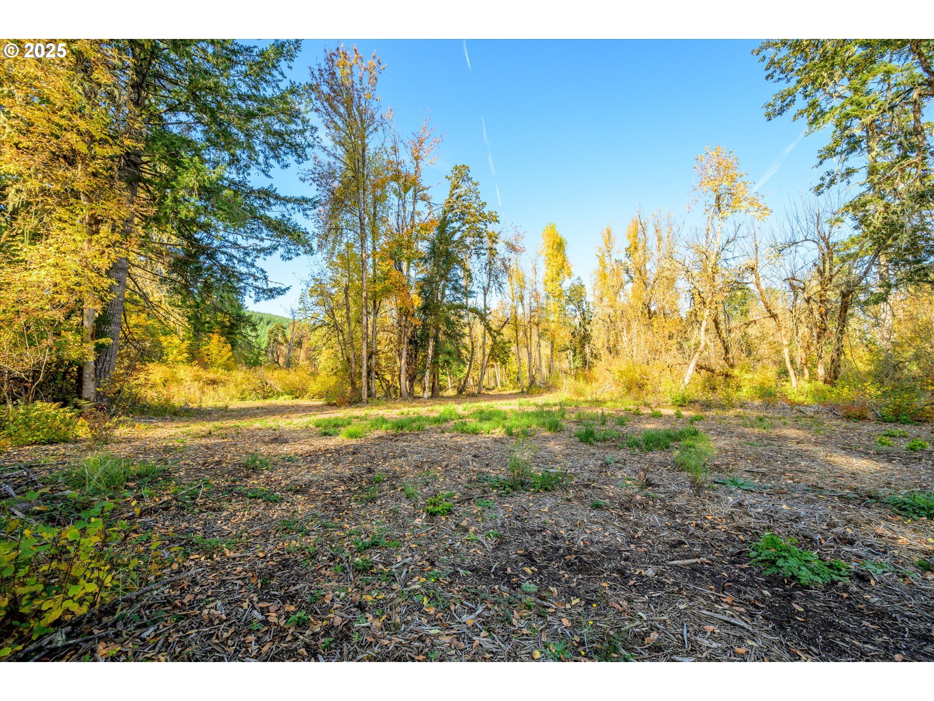 Siuslaw River Rd Property Photo 1