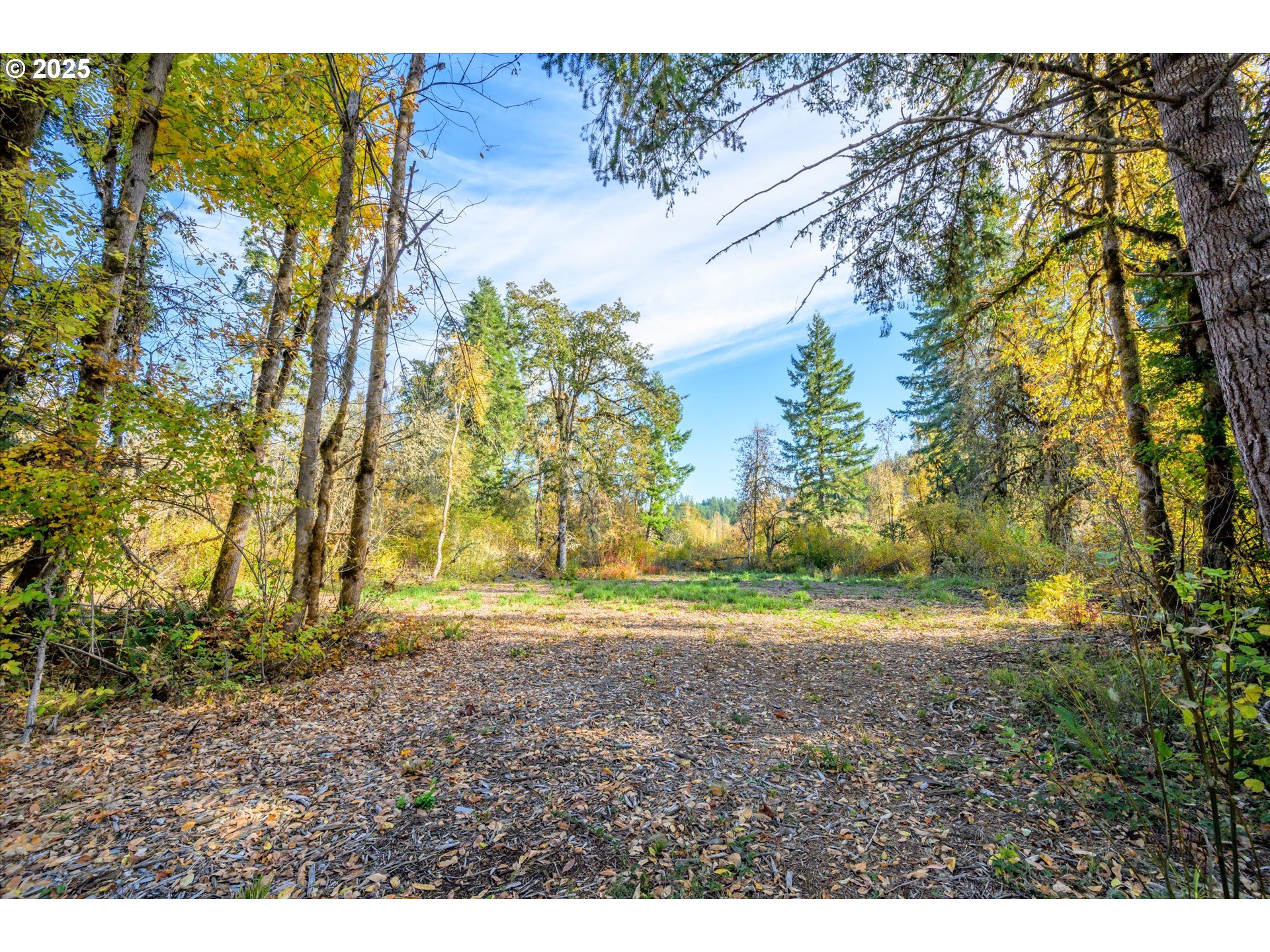 Siuslaw River Rd Property Photo 2