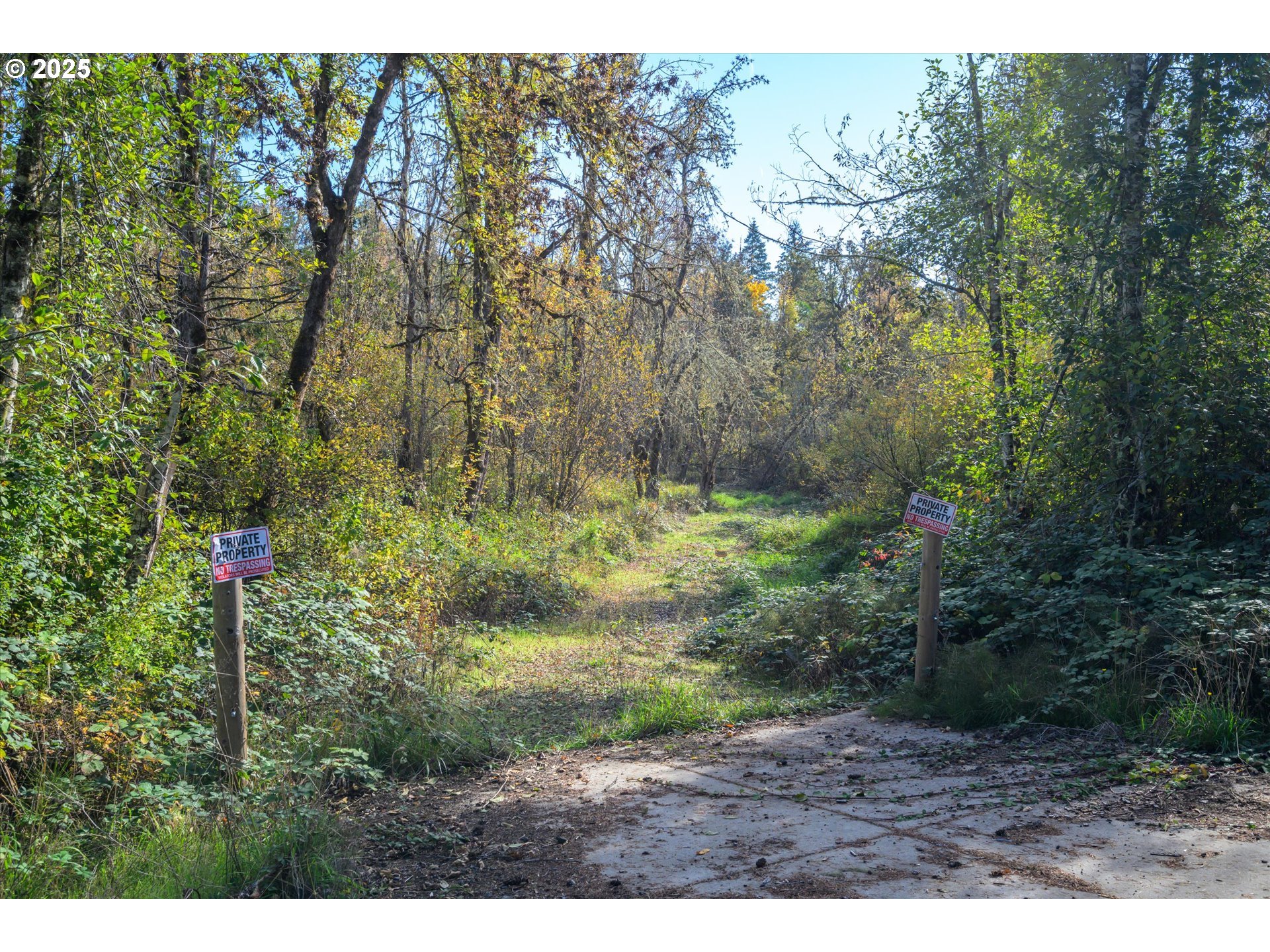 Siuslaw River Rd Property Photo 4