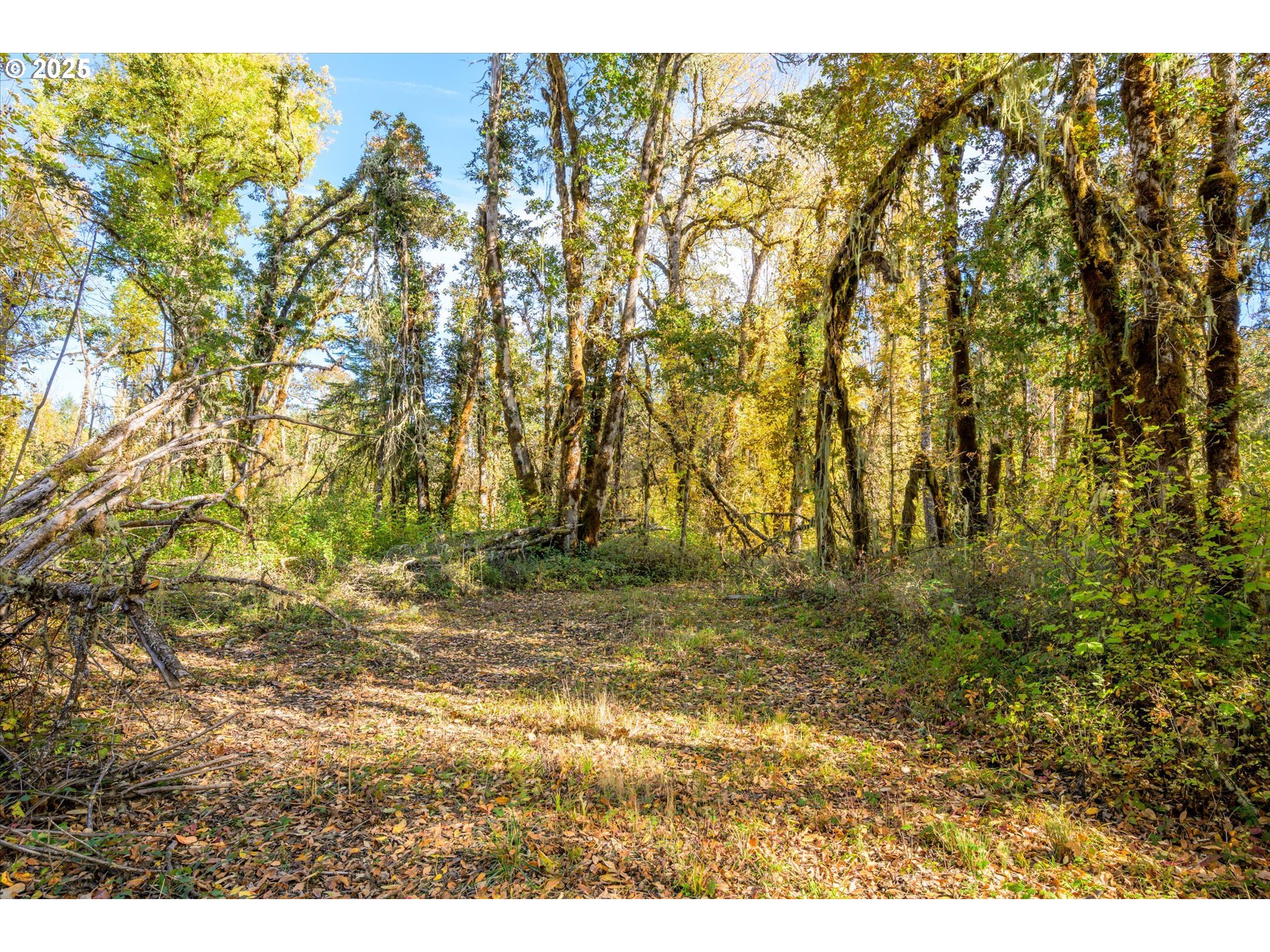 Siuslaw River Rd Property Photo 7