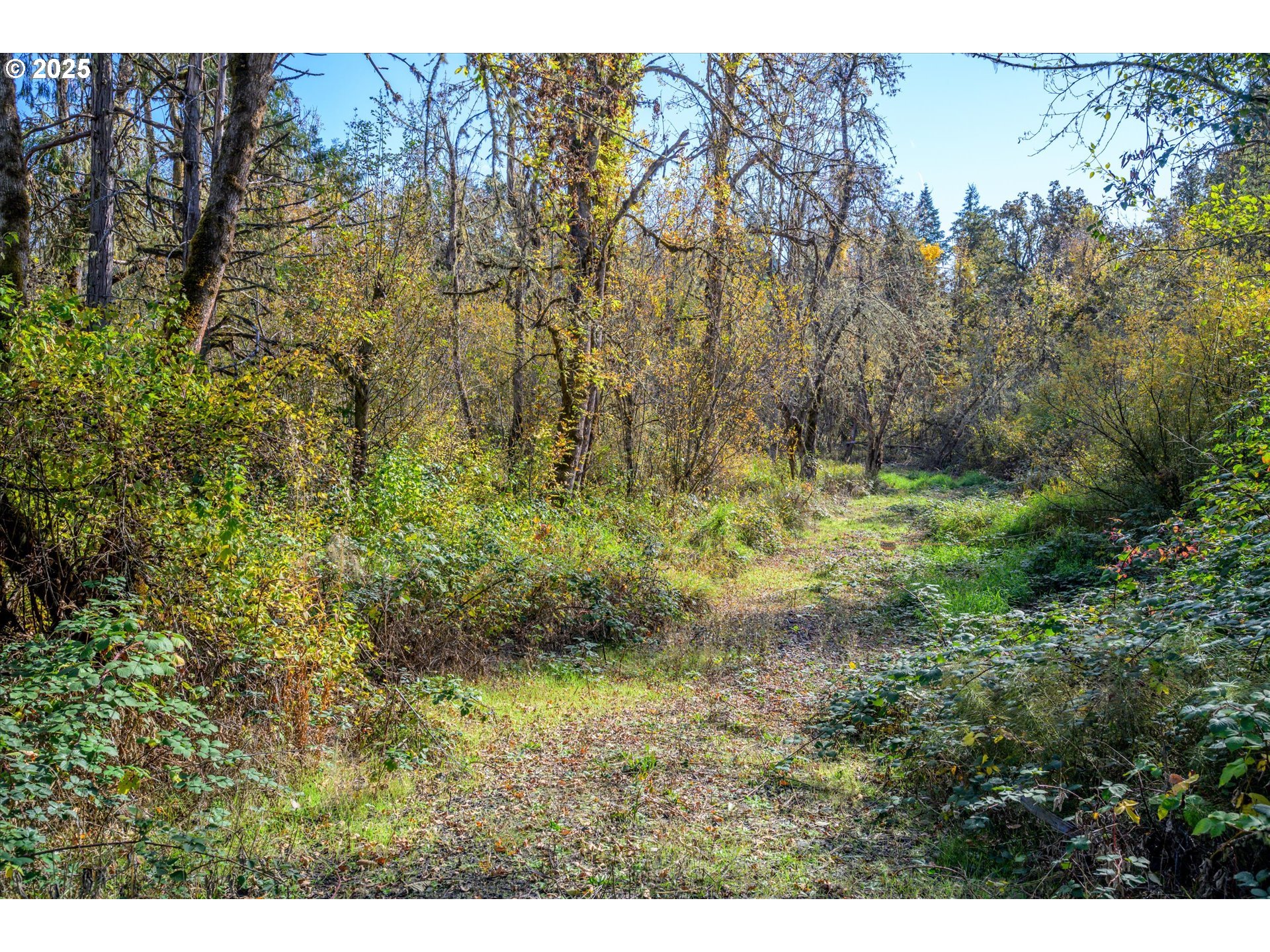 Siuslaw River Rd Property Photo 8