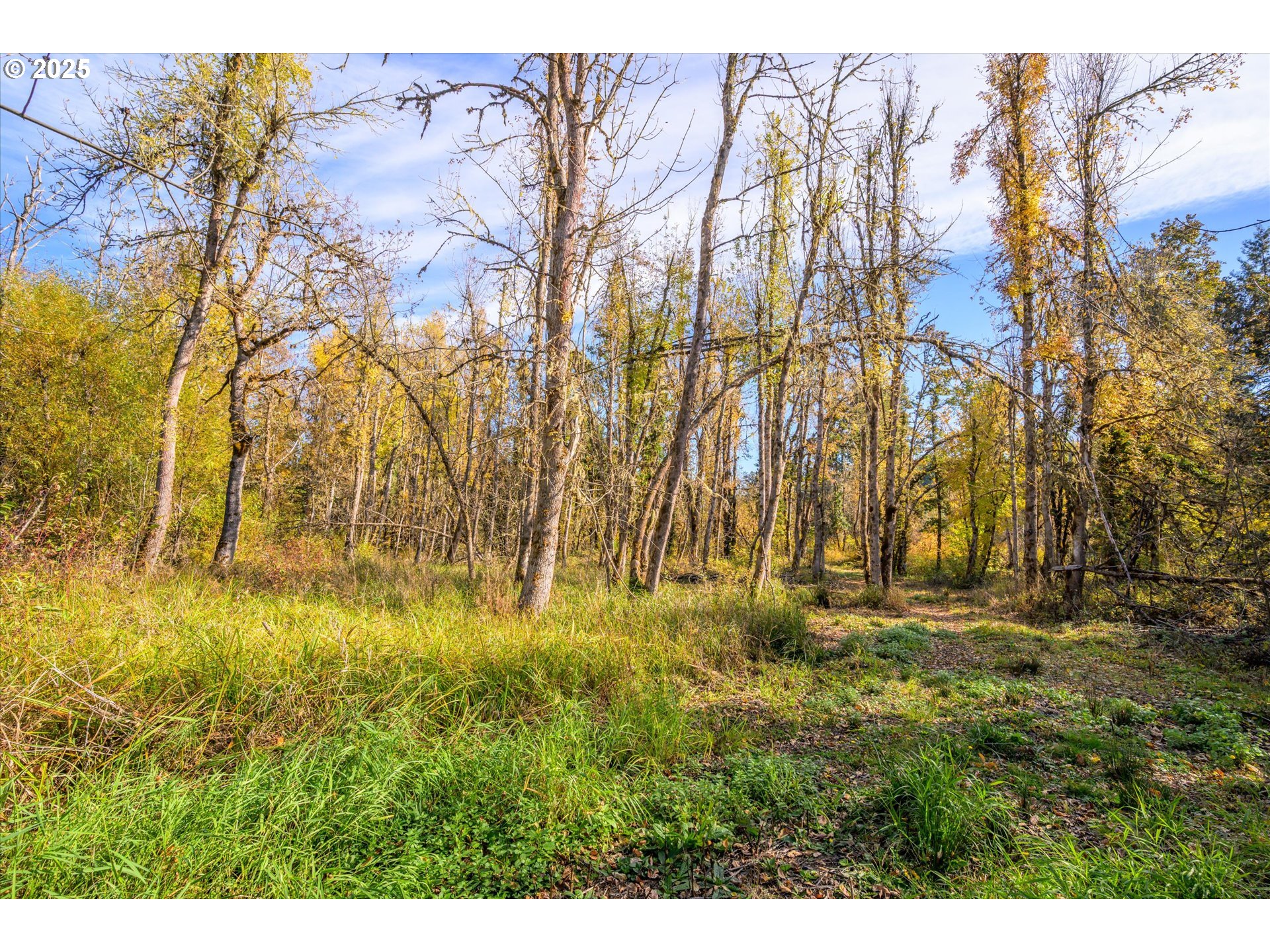 Siuslaw River Rd Property Photo 10