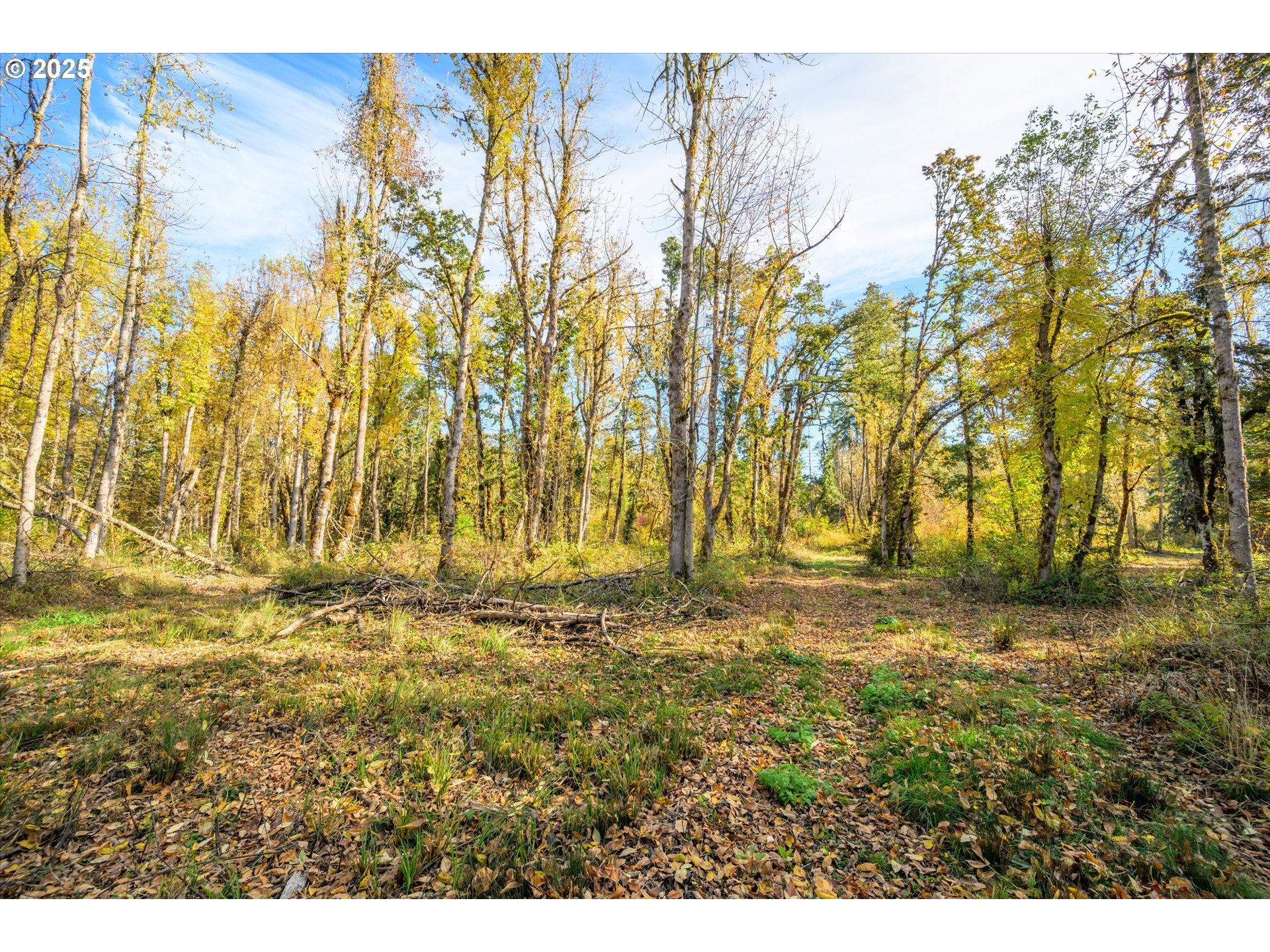 Siuslaw River Rd Property Photo 11