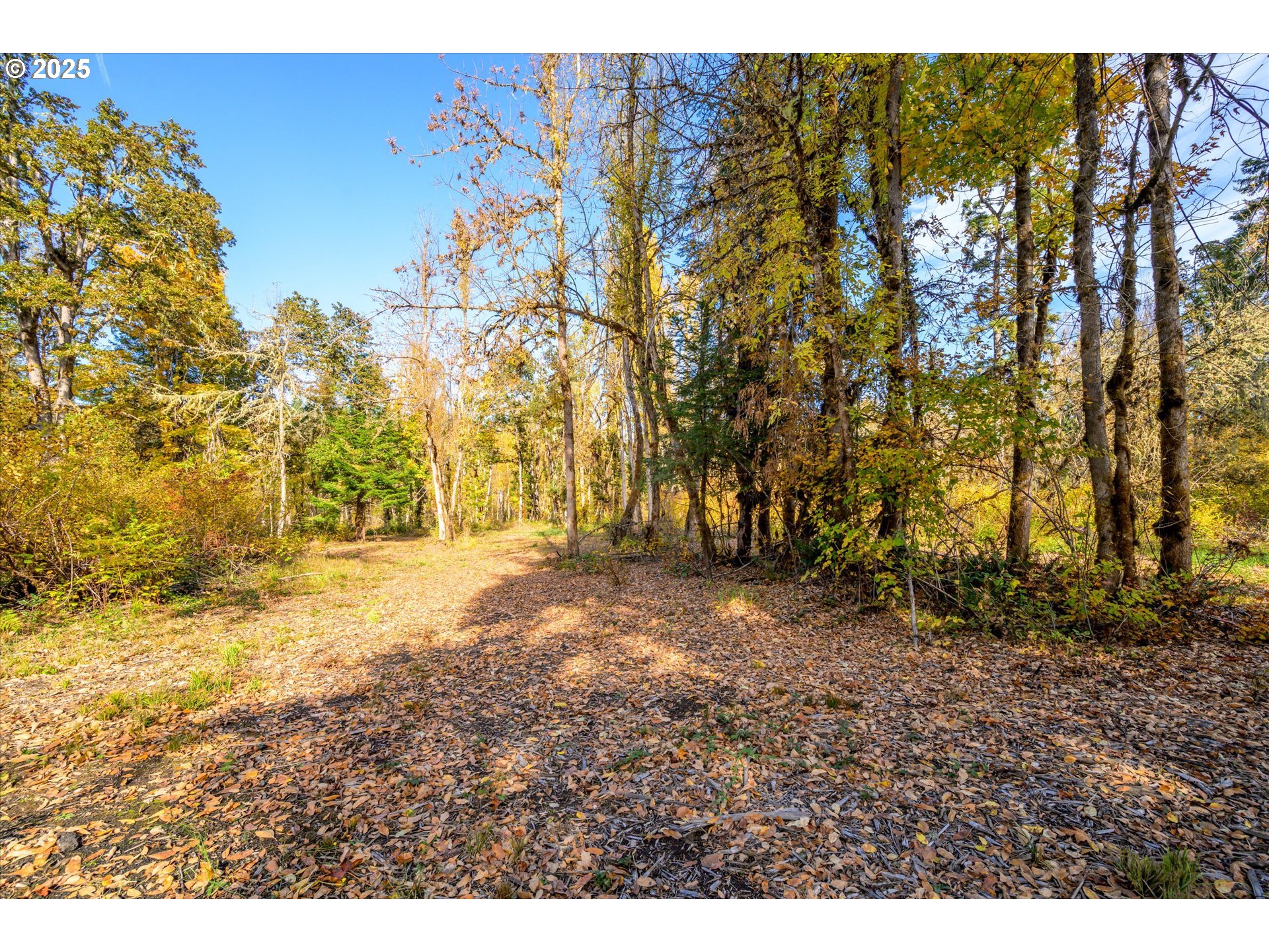Siuslaw River Rd Property Photo 12
