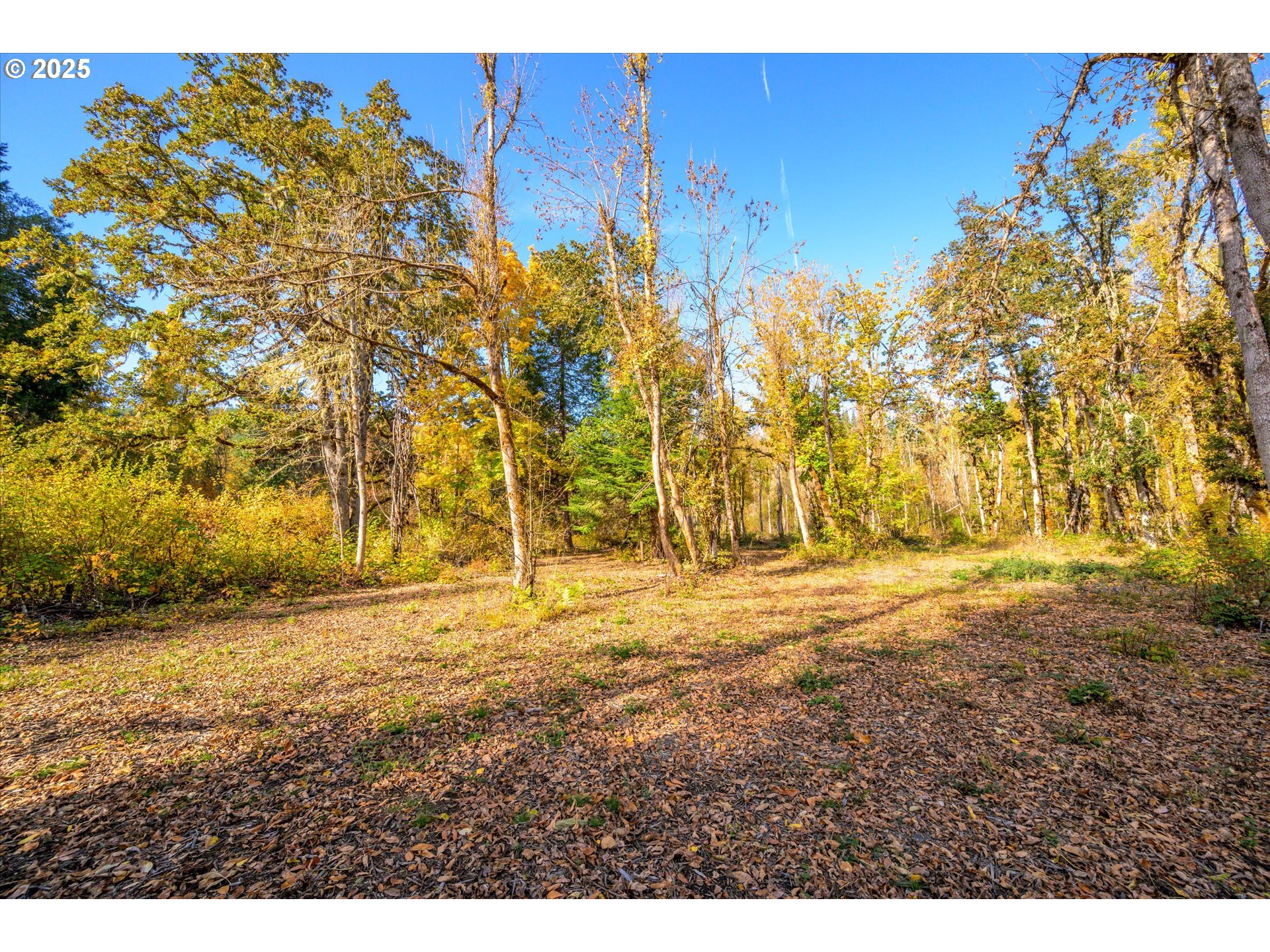 Siuslaw River Rd Property Photo 13