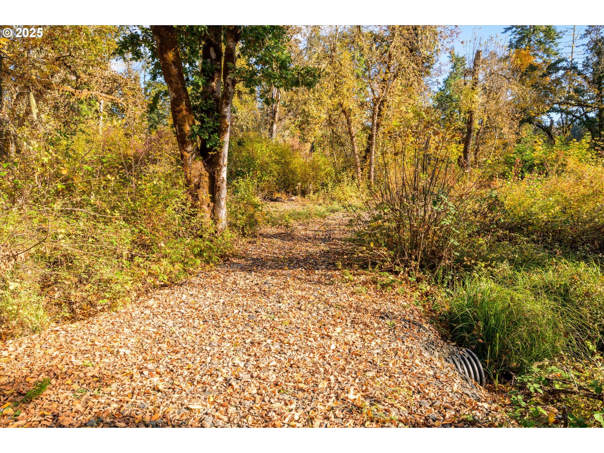 Siuslaw River Rd Property Photo 14