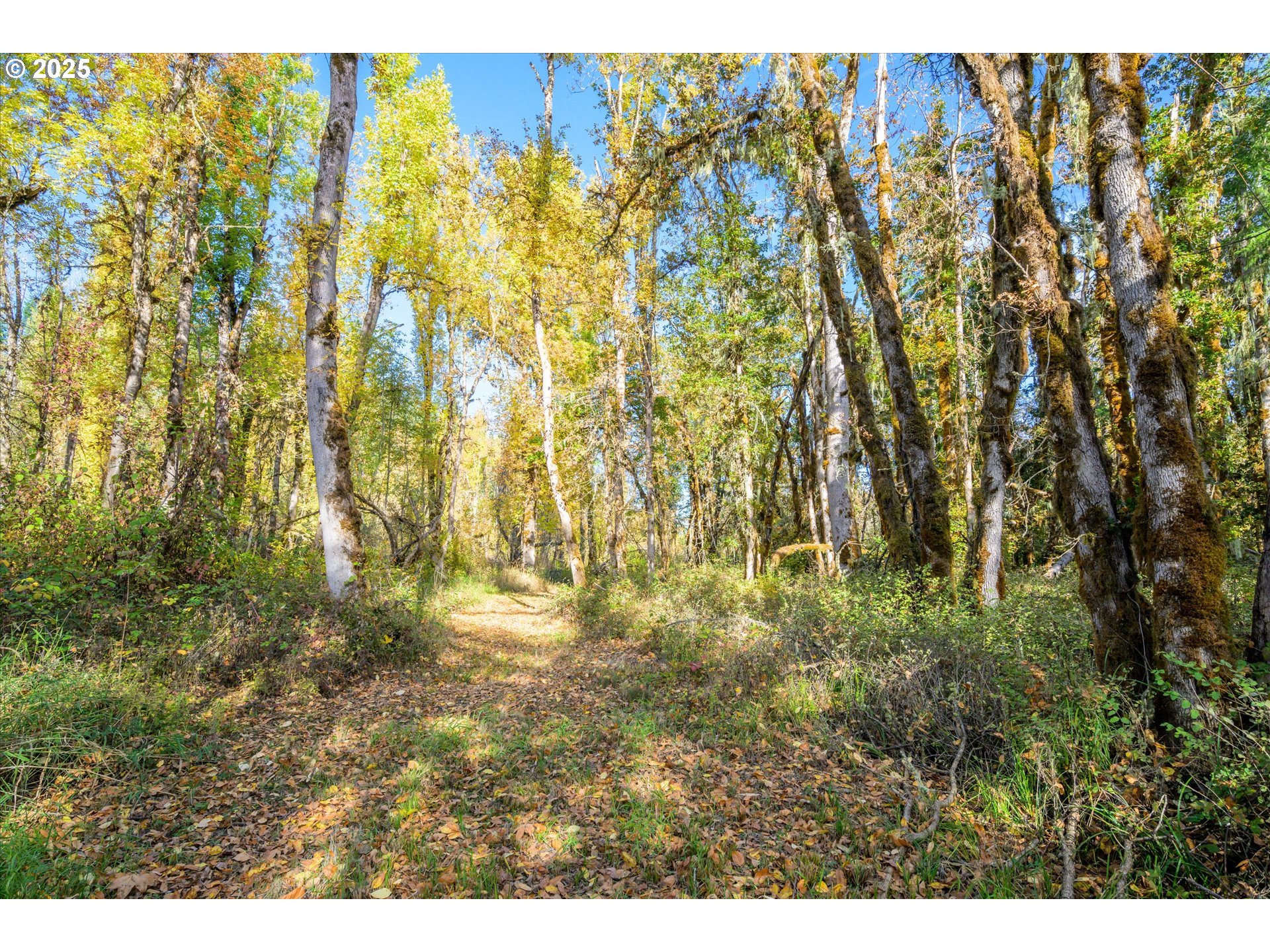 Siuslaw River Rd Property Photo 15
