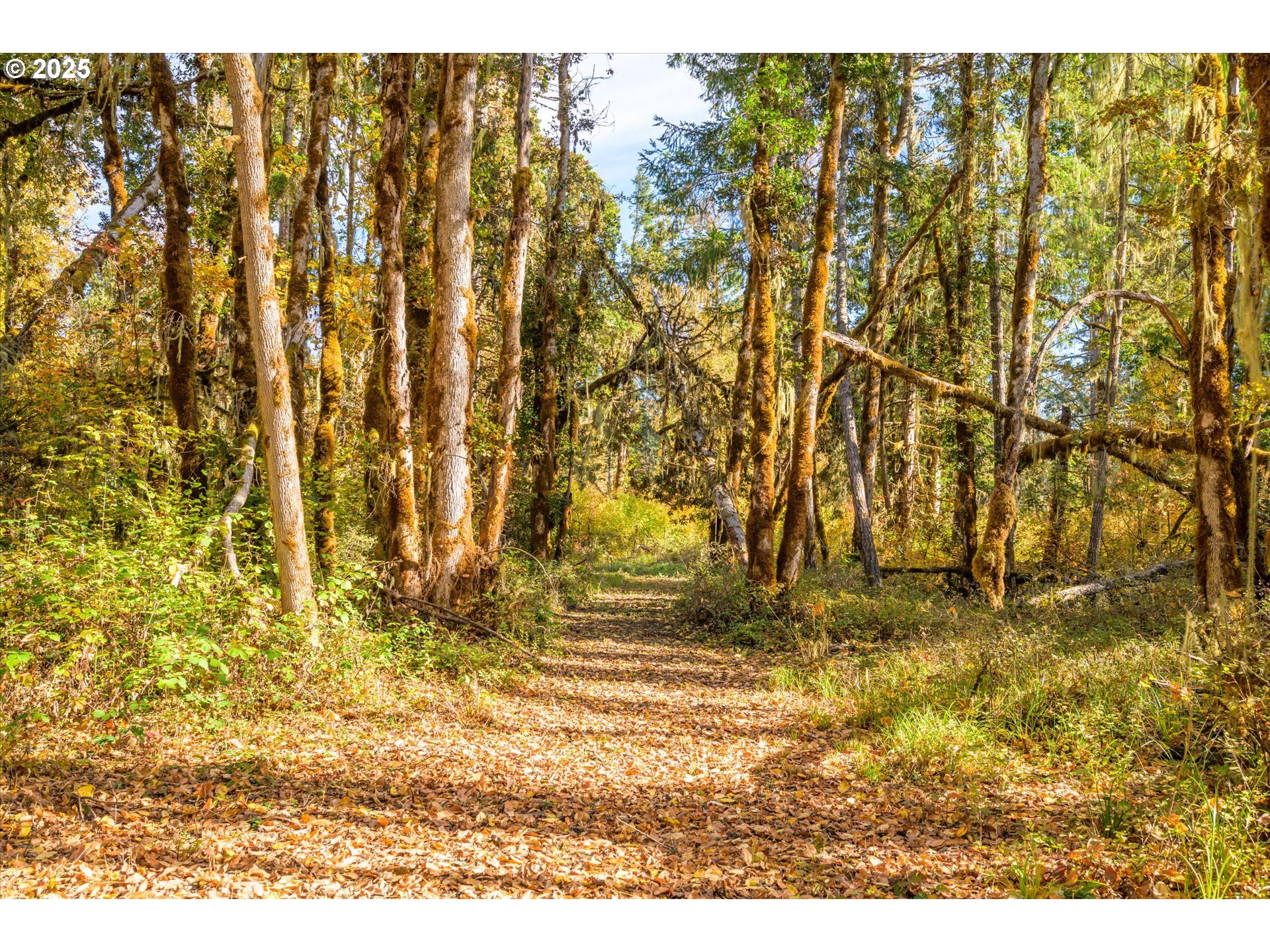 Siuslaw River Rd Property Photo 16