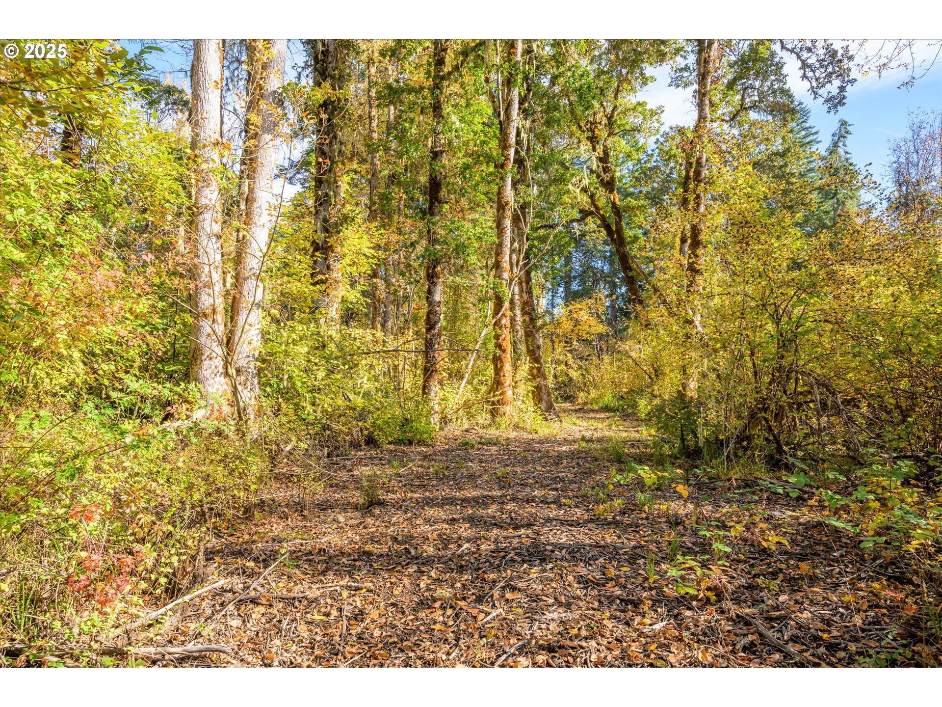 Siuslaw River Rd Property Photo 17