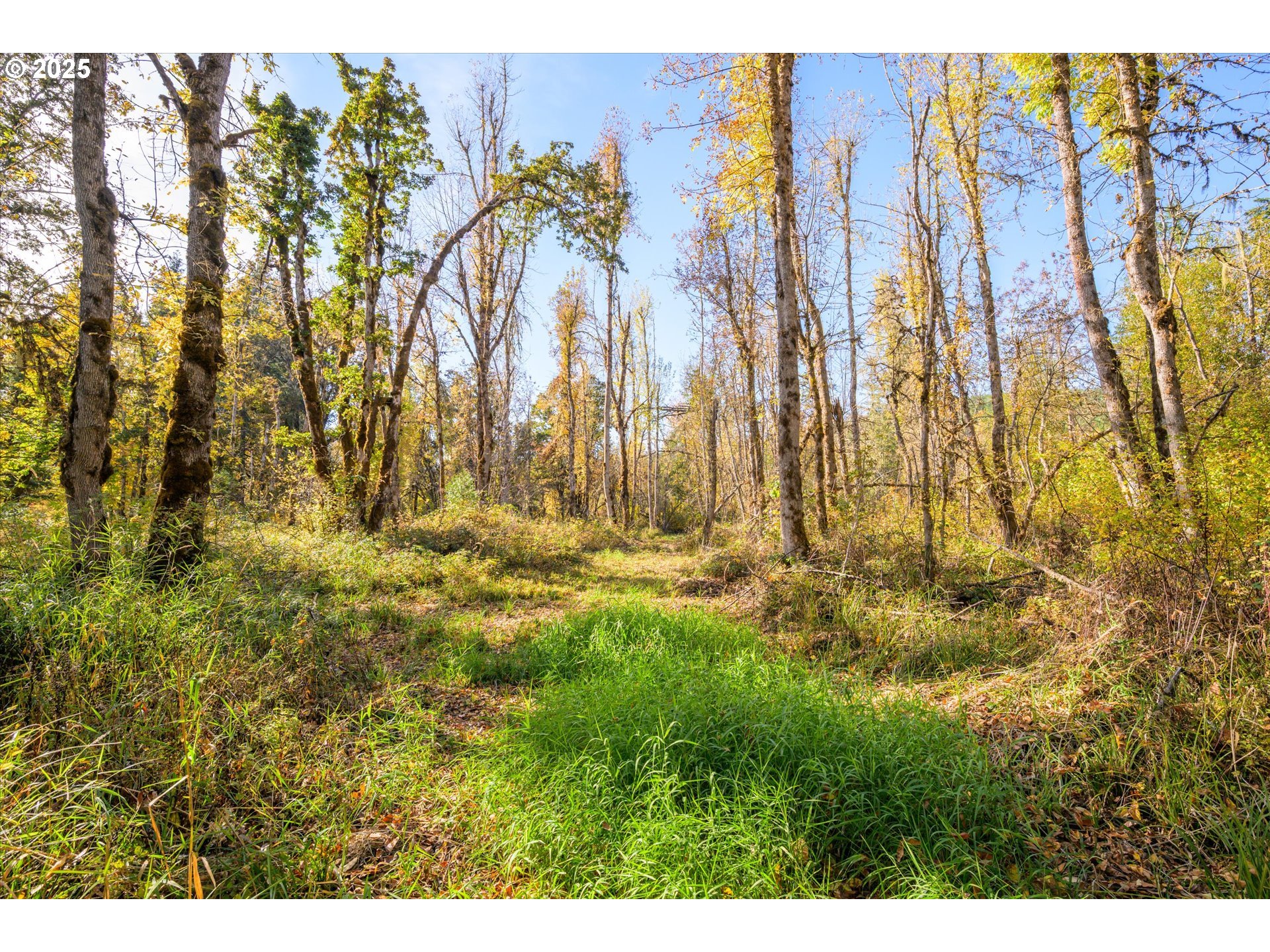 Siuslaw River Rd Property Photo 18