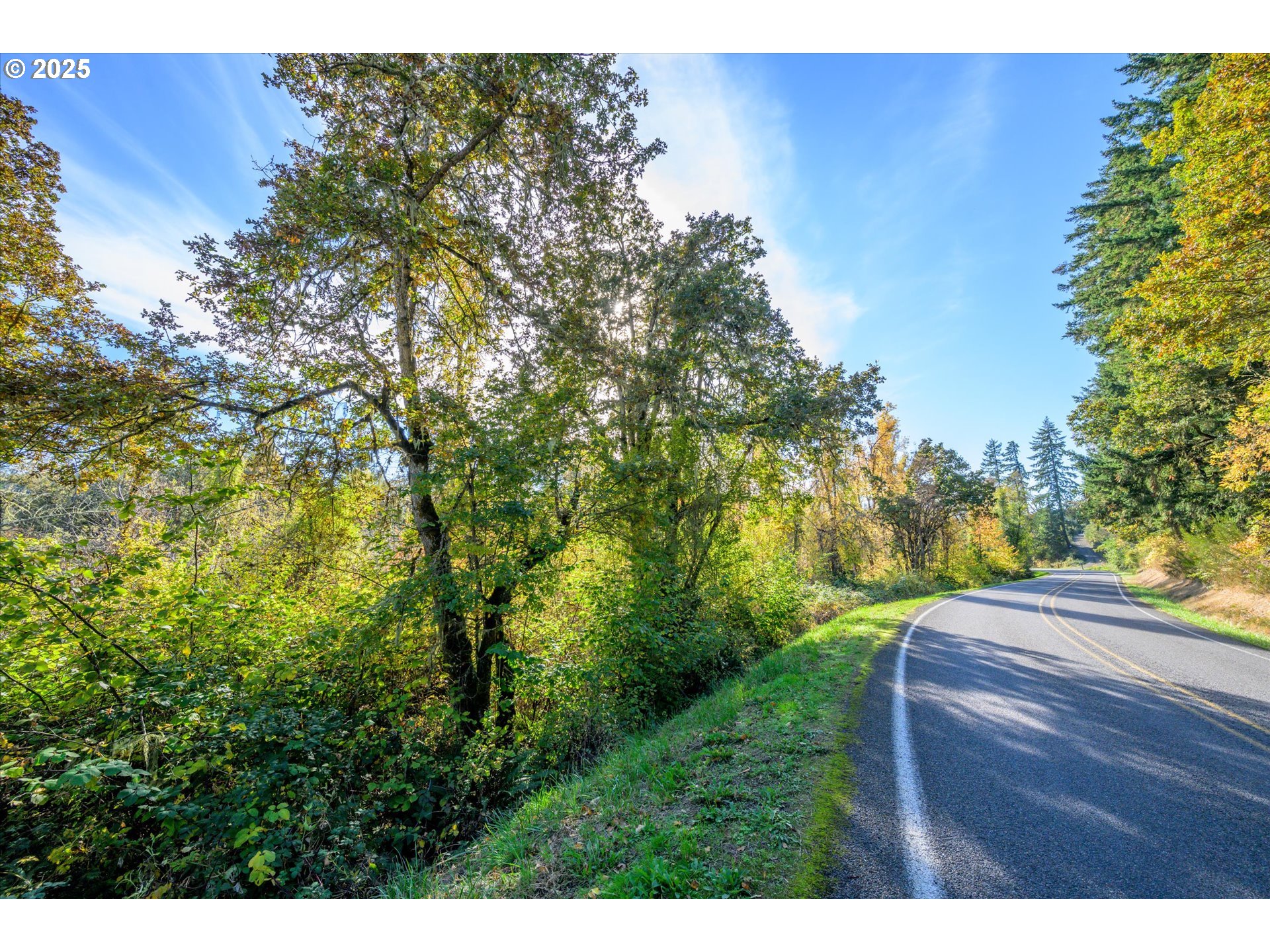 Siuslaw River Rd Property Photo 19