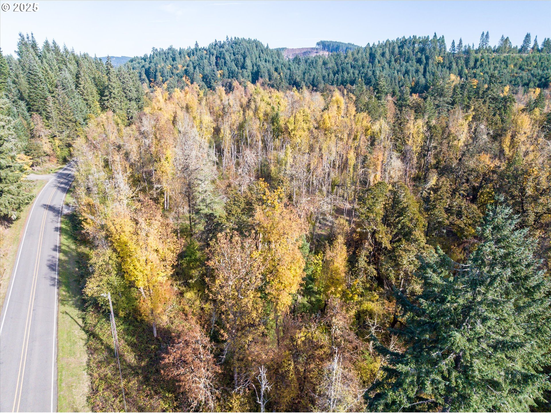 Siuslaw River Rd Property Photo 23