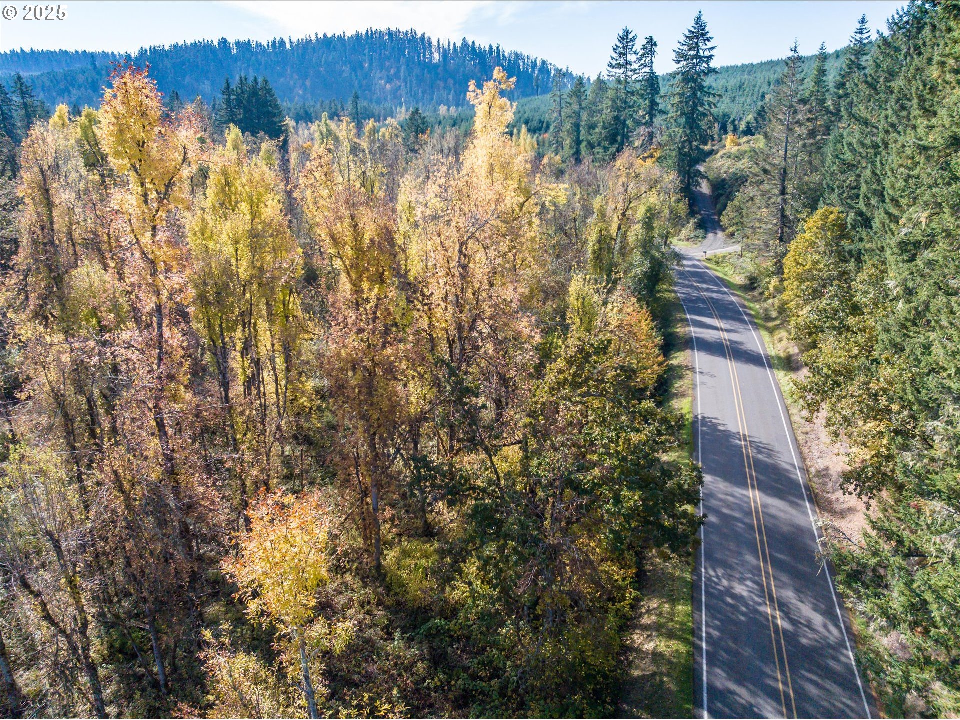 Siuslaw River Rd Property Photo 24
