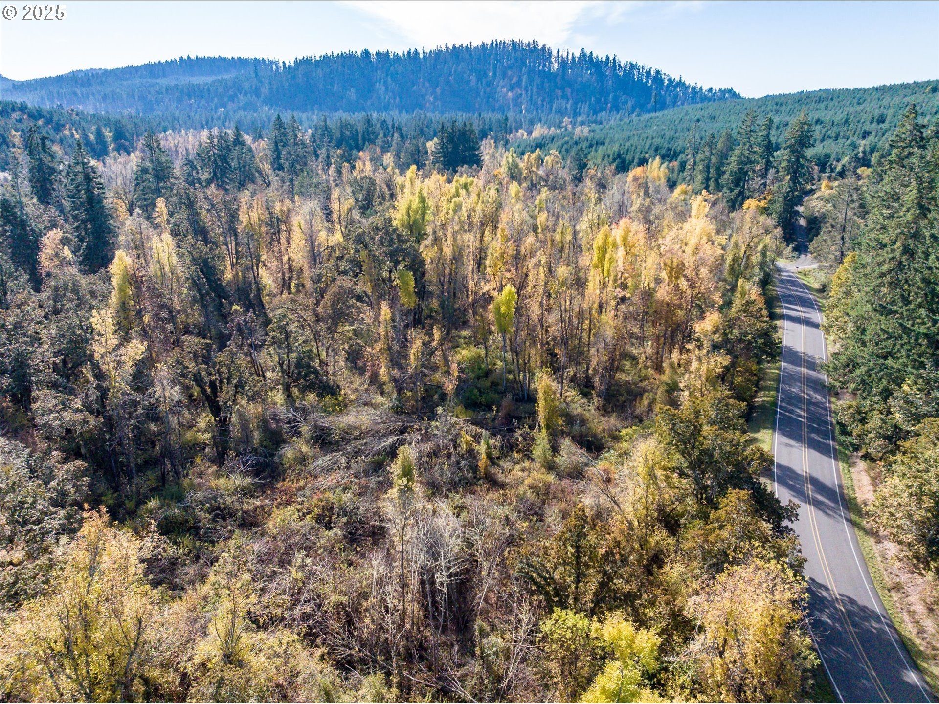 Siuslaw River Rd Property Photo 25