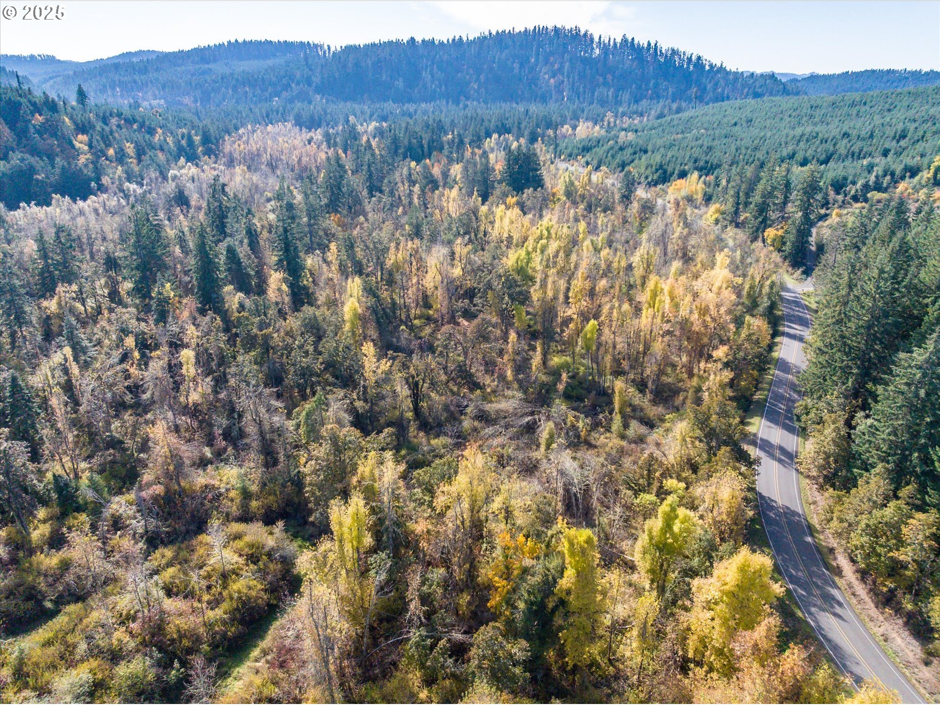 Siuslaw River Rd Property Photo 26