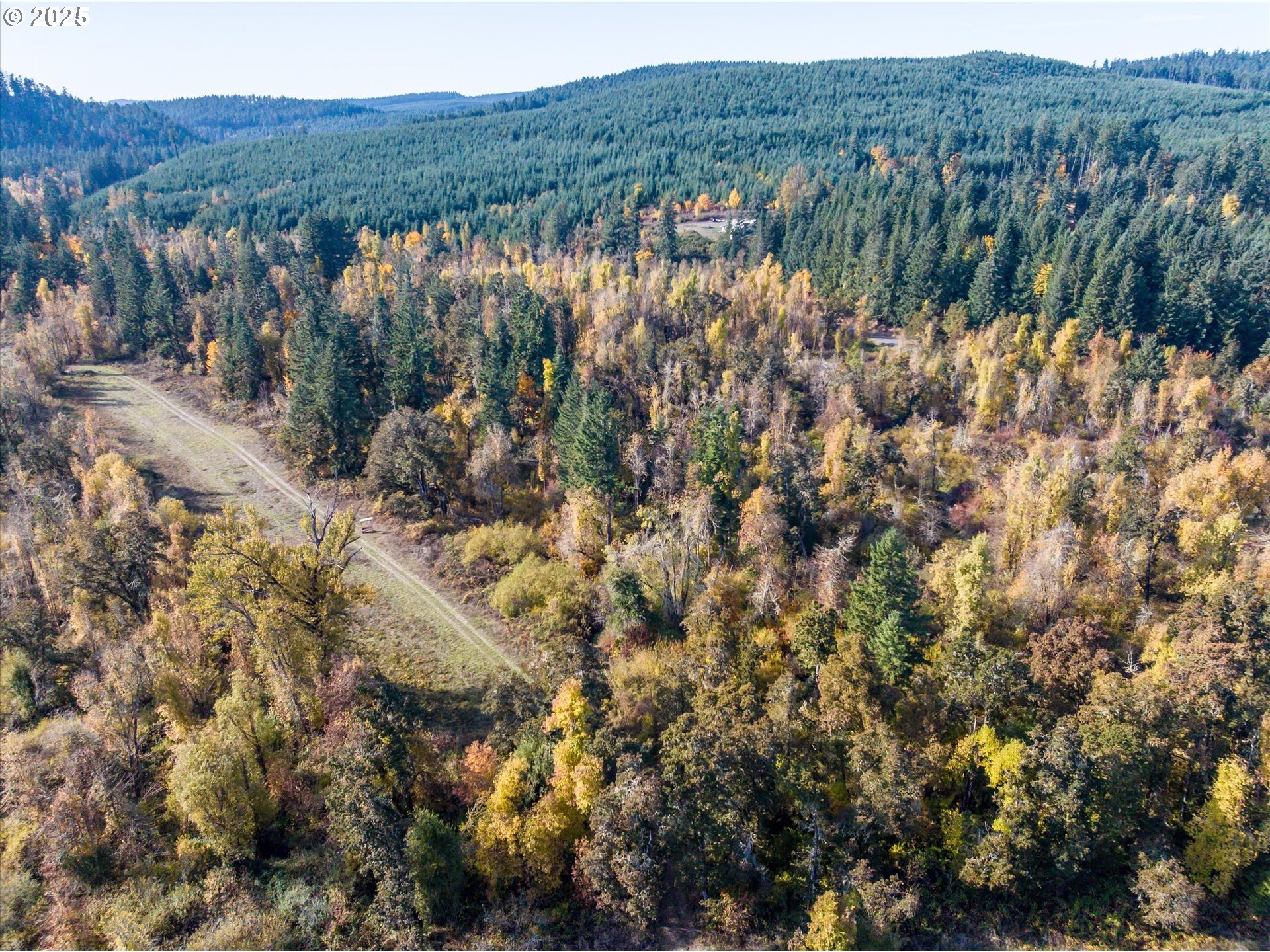 Siuslaw River Rd Property Photo 29