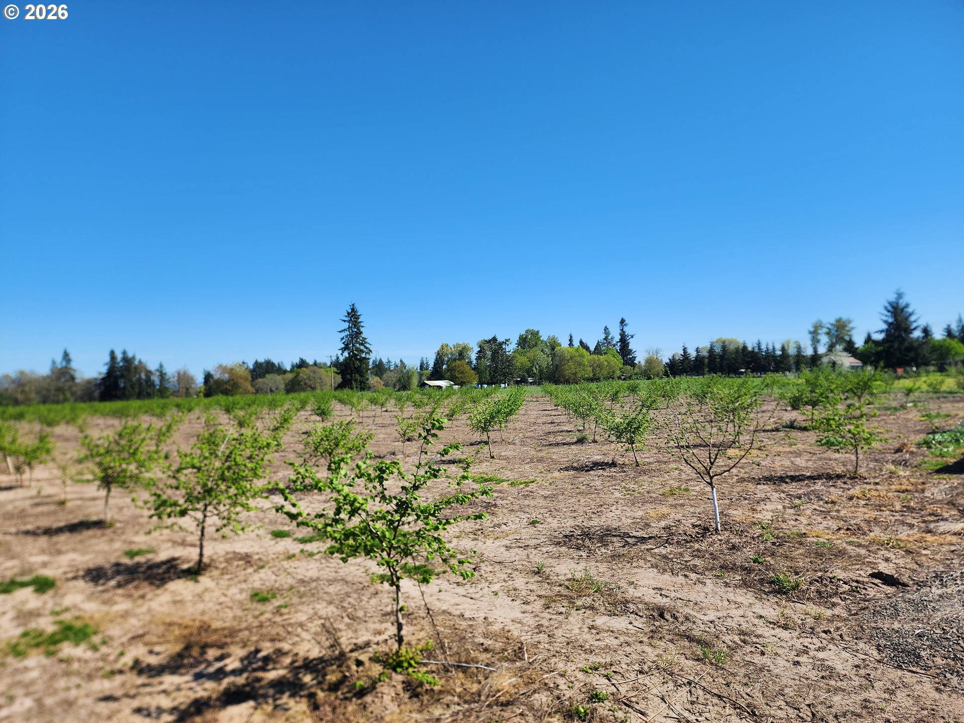 36501 Gilkey Rd Property Photo 1