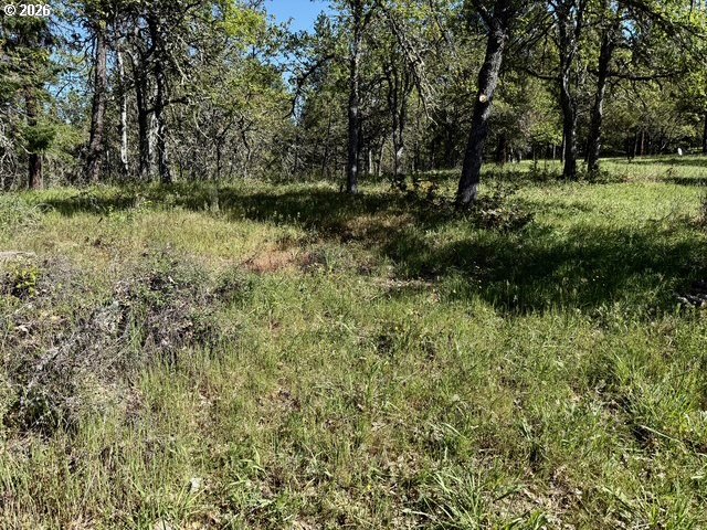 2215 Pine Oak Rd Property Photo 31