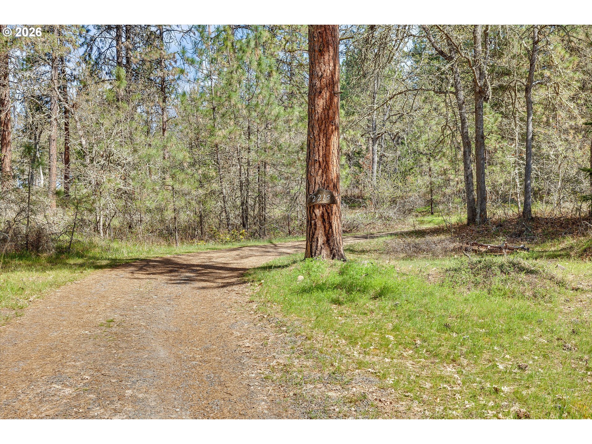 2215 Pine Oak Rd Property Photo 43
