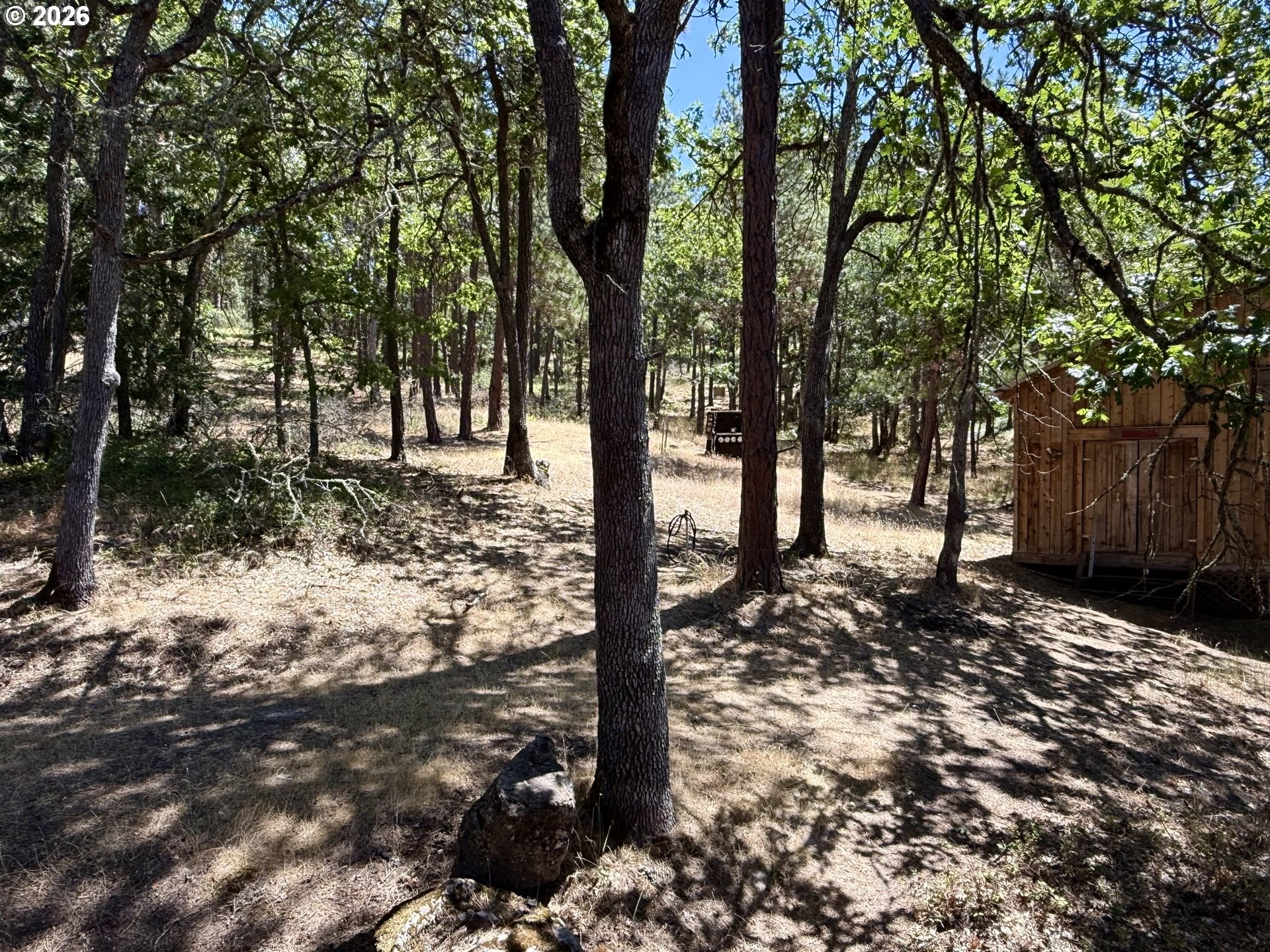 2215 Pine Oak Rd Property Photo 48