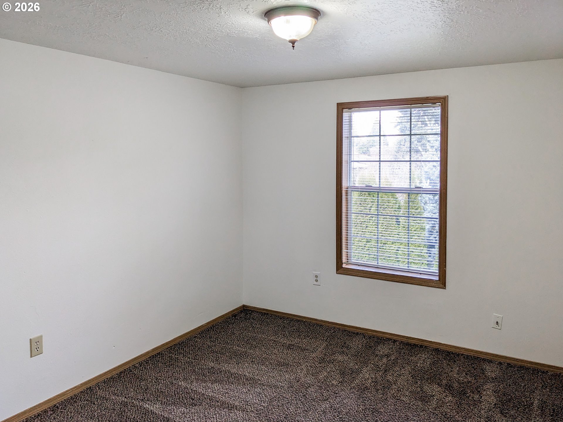 224 C St Property Photo 13