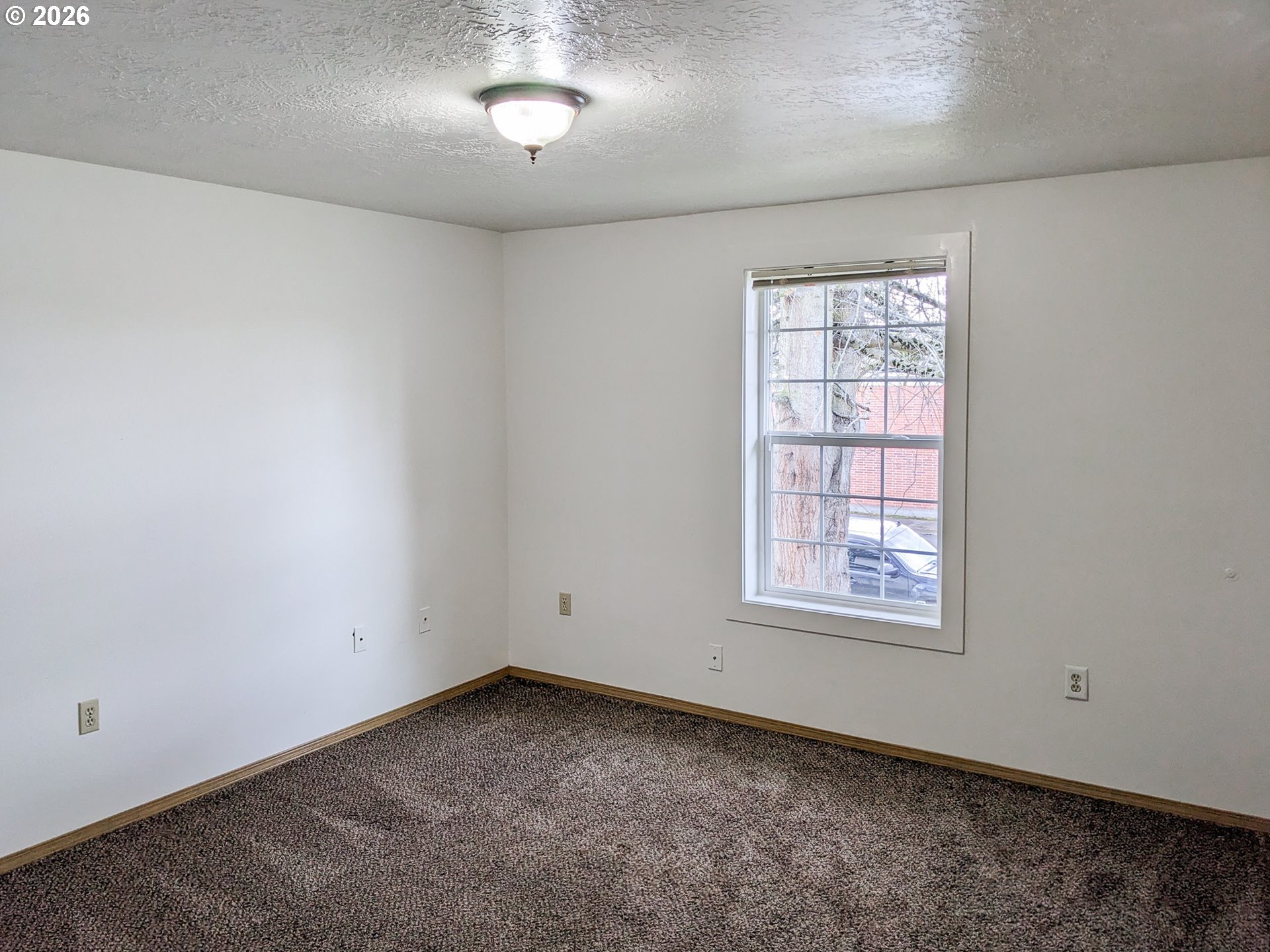 224 C St Property Photo 17
