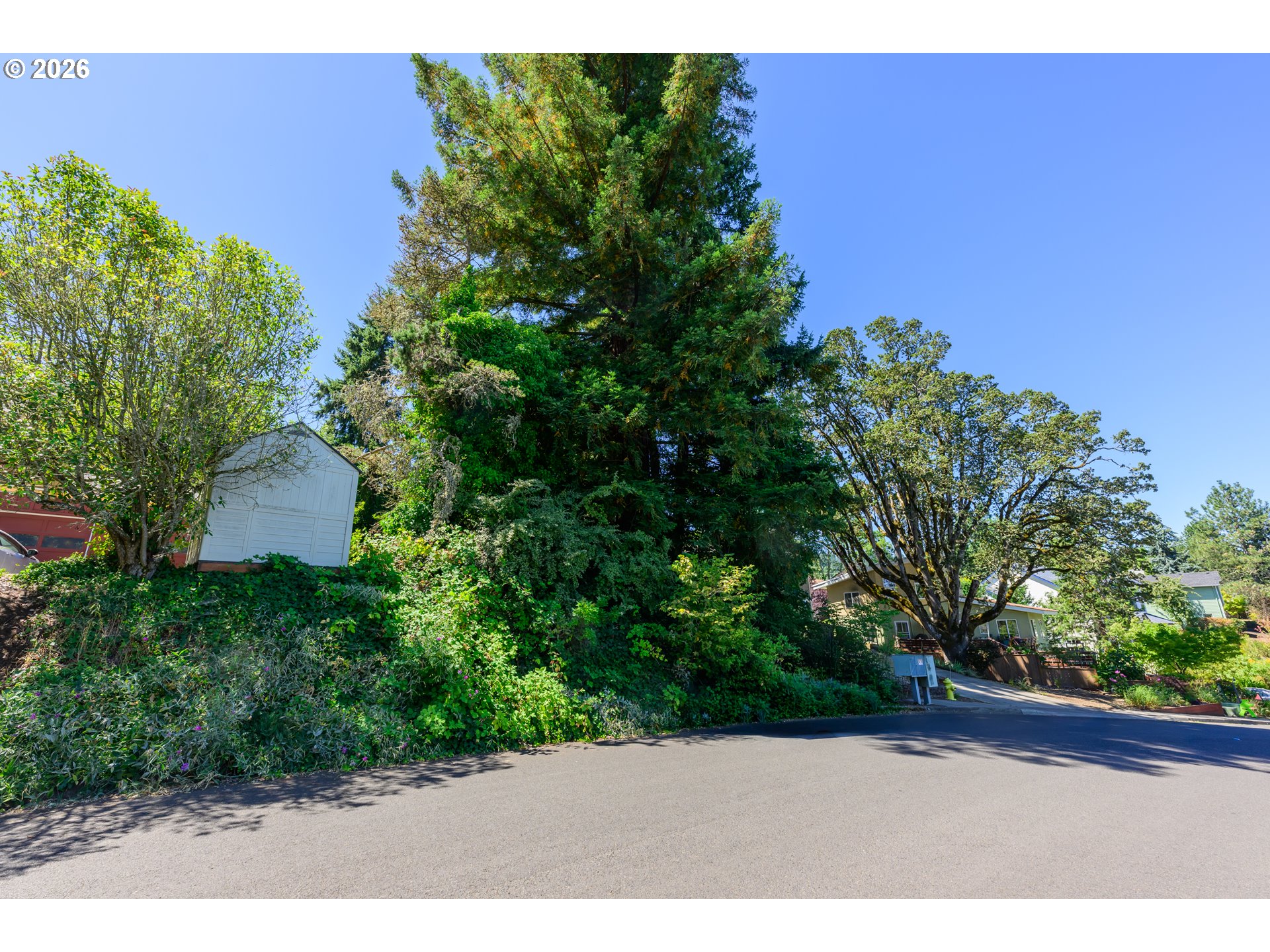 0 Tiara Street Property Photo 8