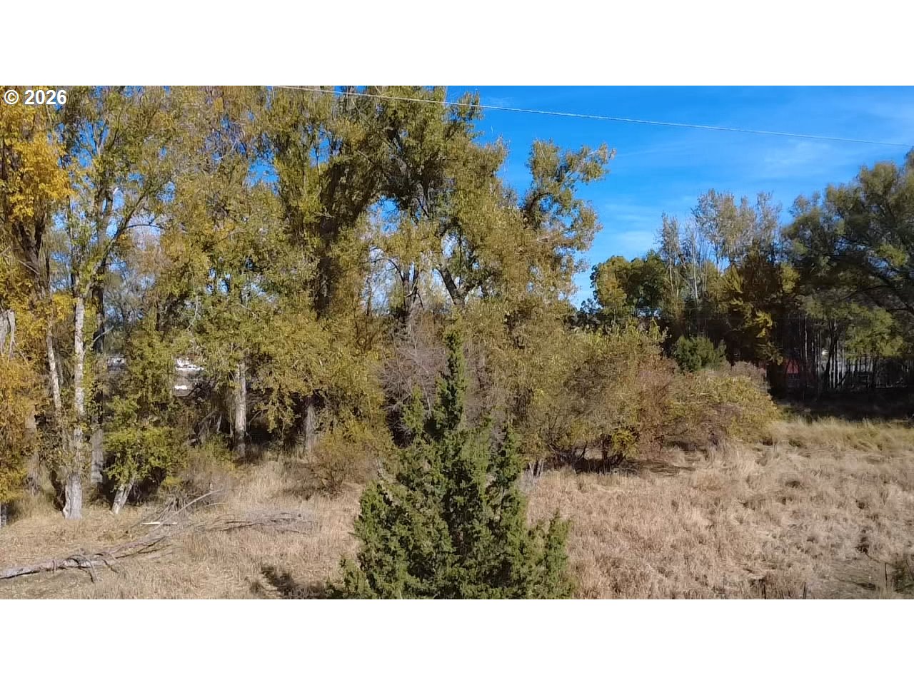 82695 Fish Hatchery Ln Property Photo 6