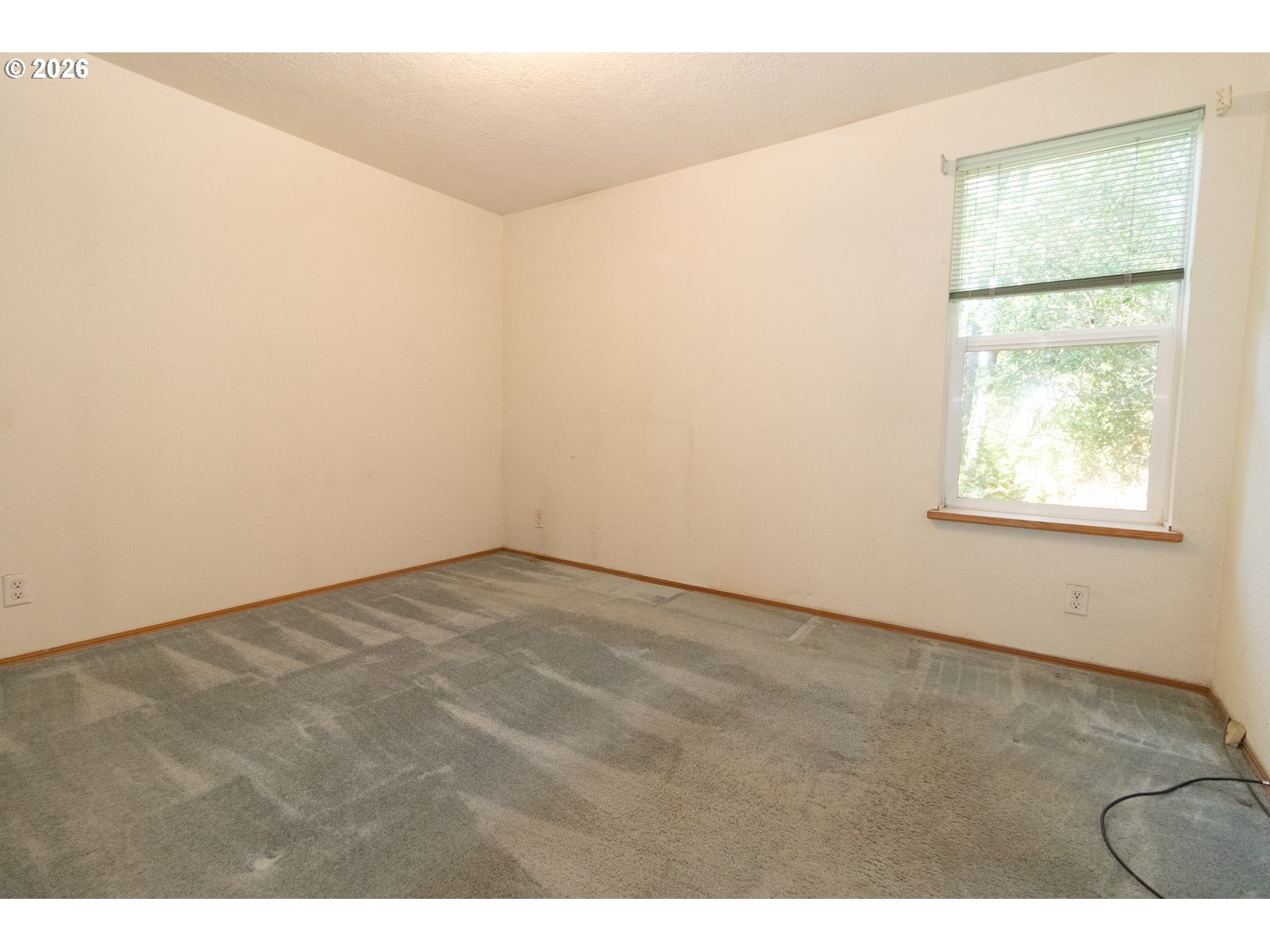 240 Munsel Creek Loop Property Photo 33