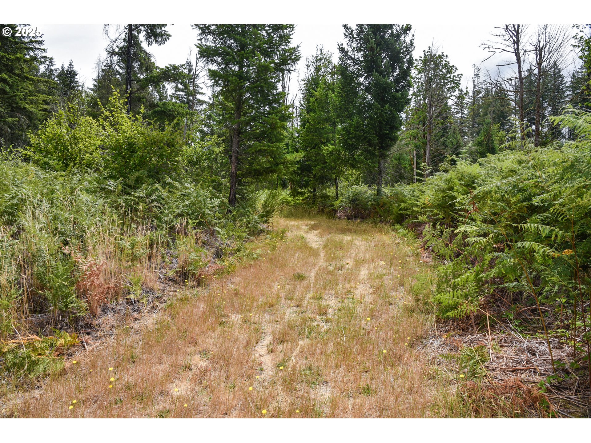40111 Se Fairview St Property Photo 28