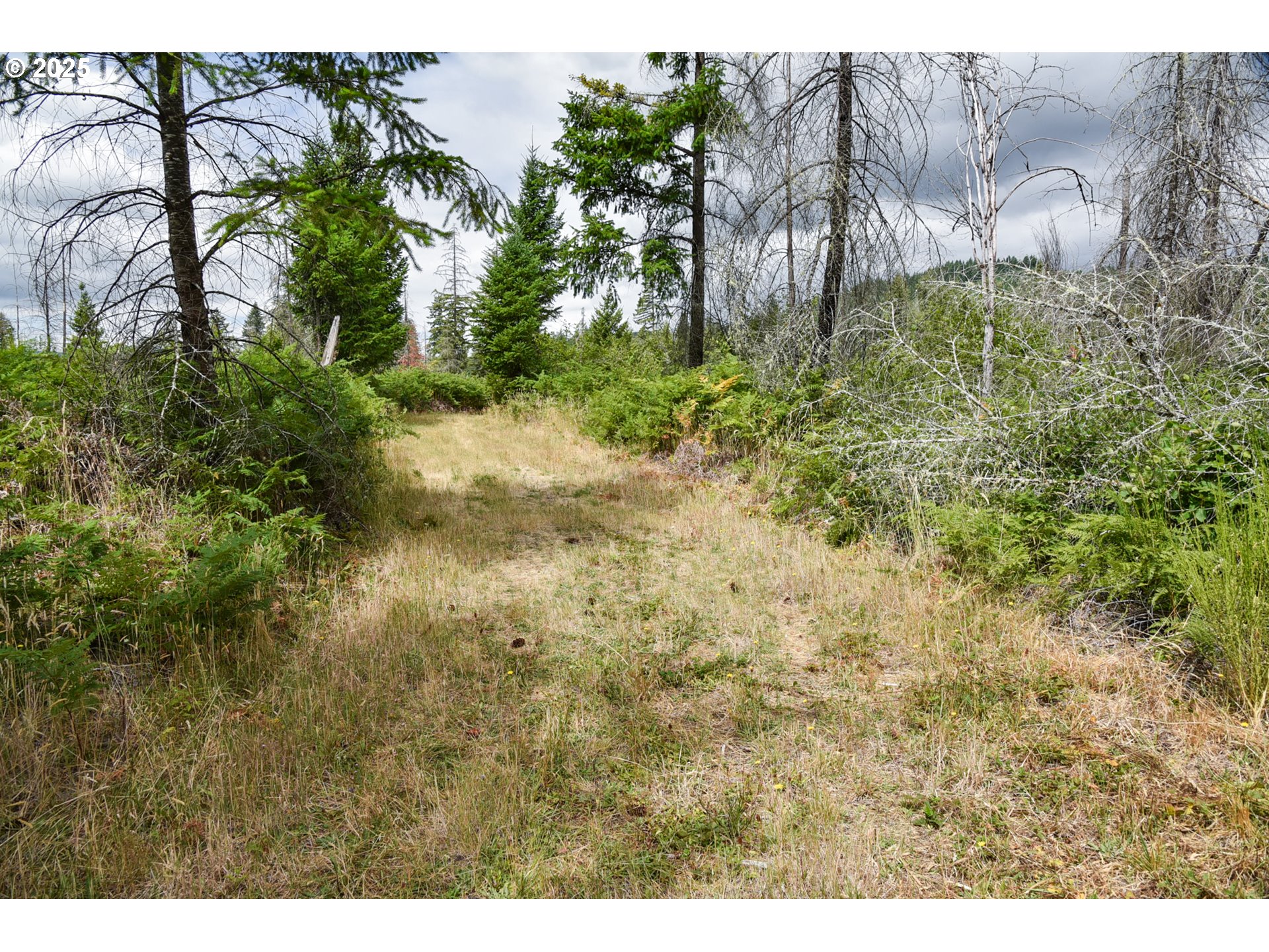 40111 Se Fairview St Property Photo 29