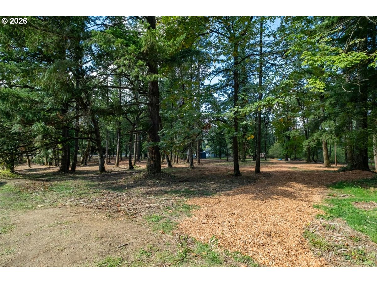 Valley View Dr Dr 1101 Property Photo 3