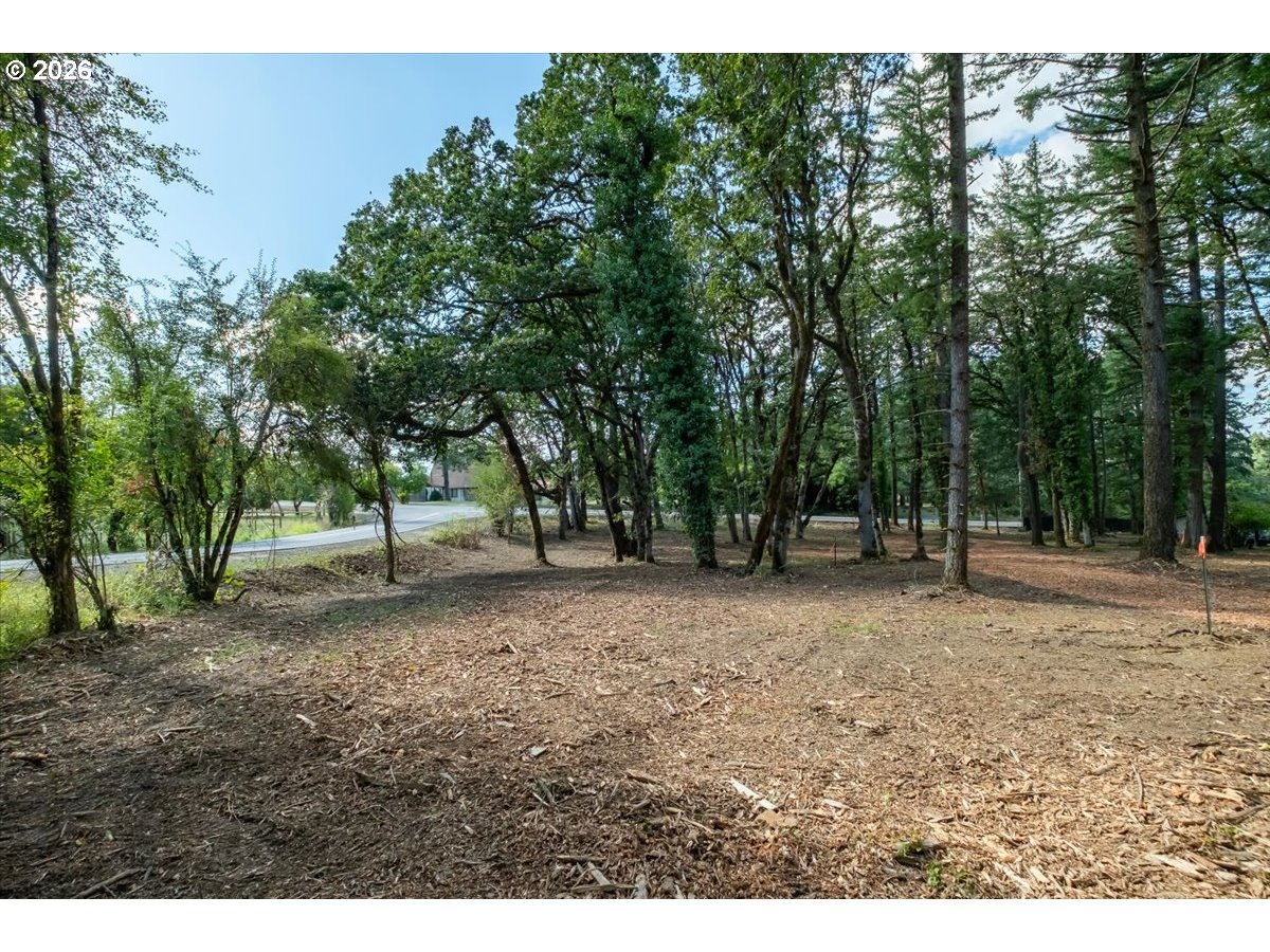 Valley View Dr Dr 1101 Property Photo 10