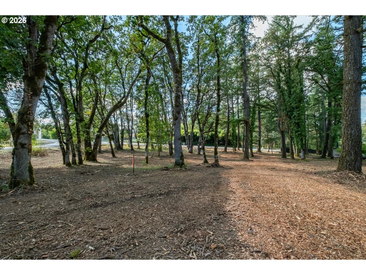 Valley View Dr Dr 1101 Property Photo 12