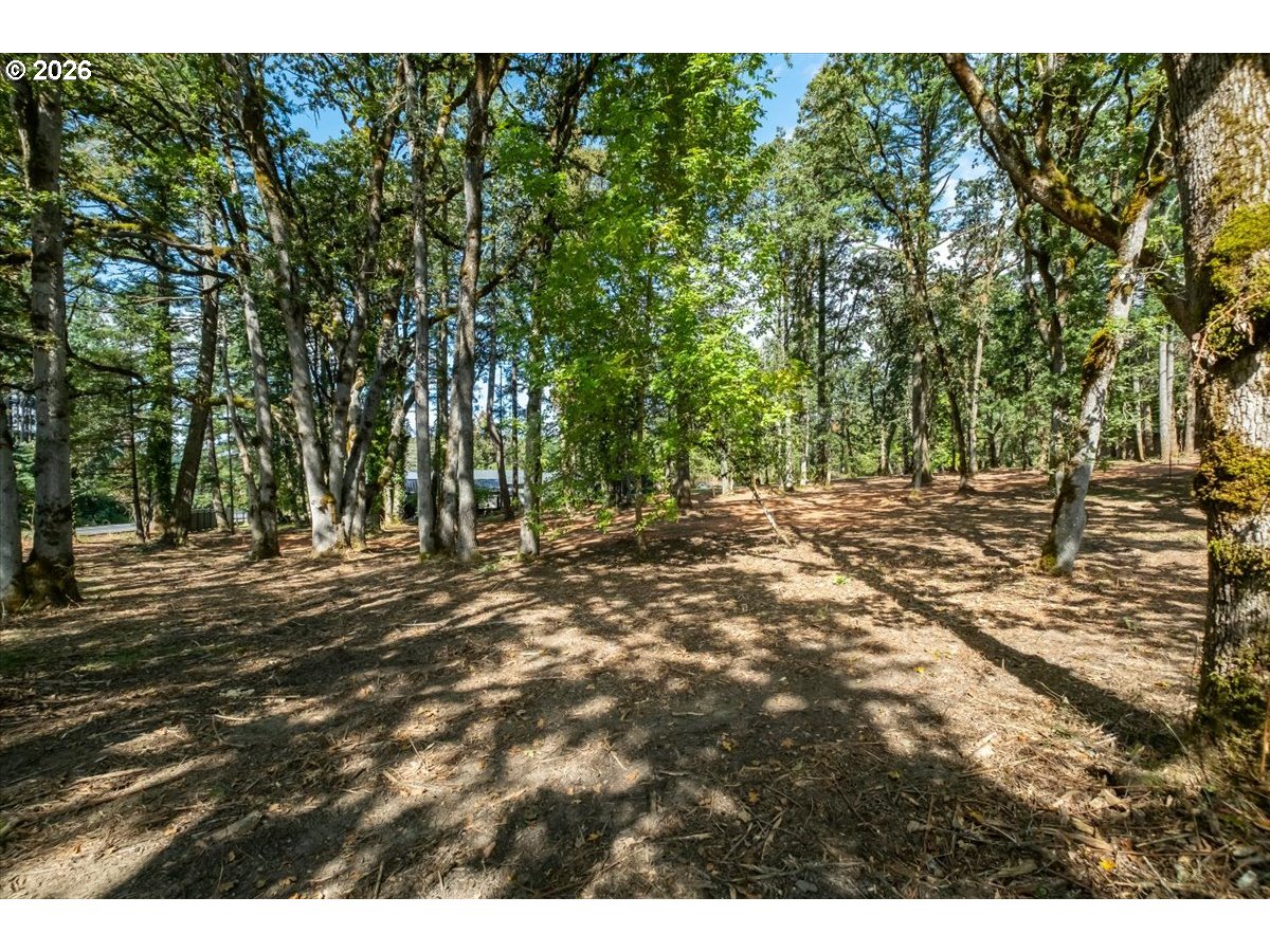 Valley View Dr Dr 1101 Property Photo 13