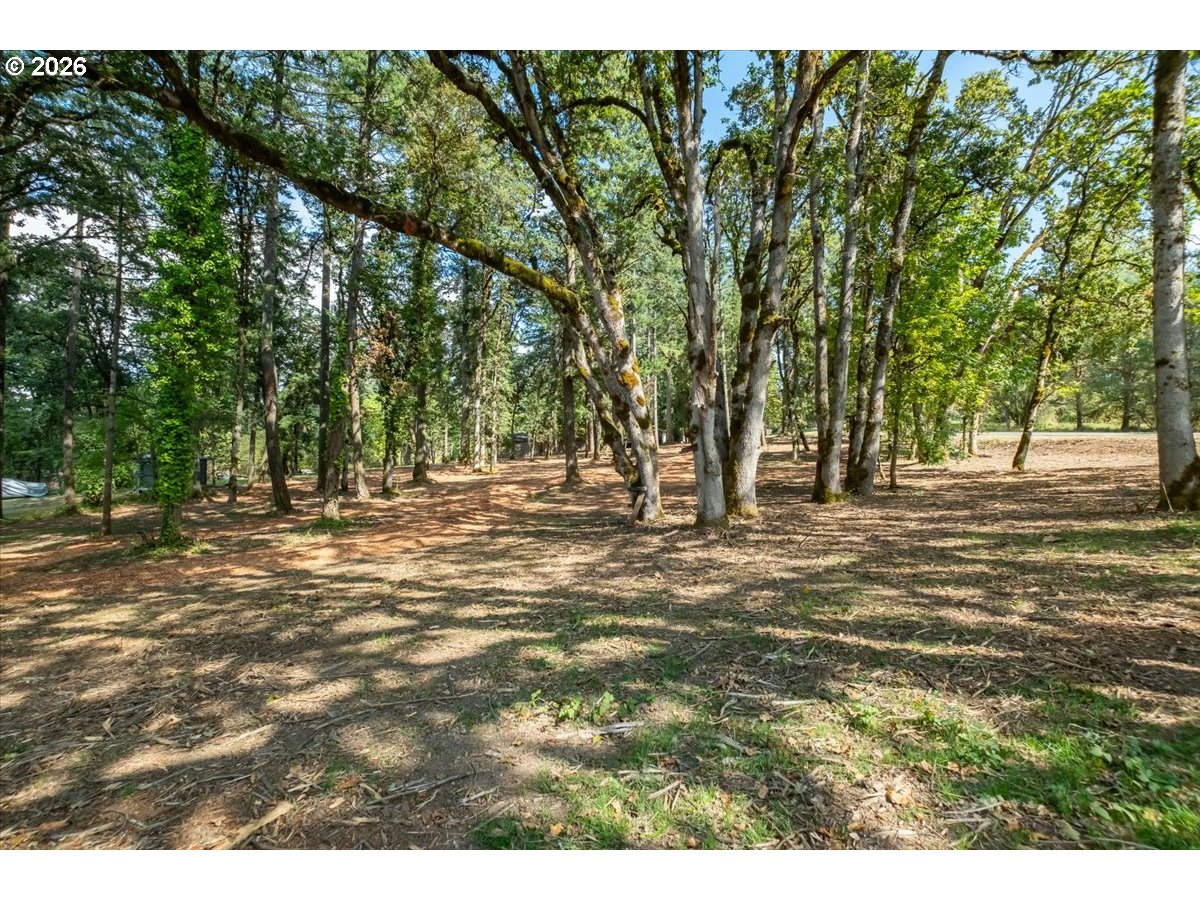 Valley View Dr Dr 1101 Property Photo 14