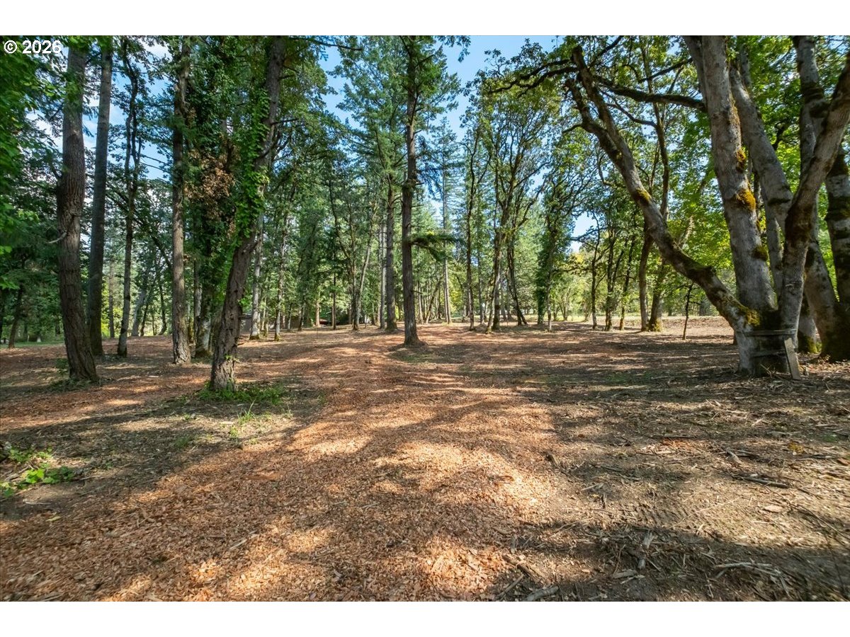Valley View Dr Dr 1101 Property Photo 15