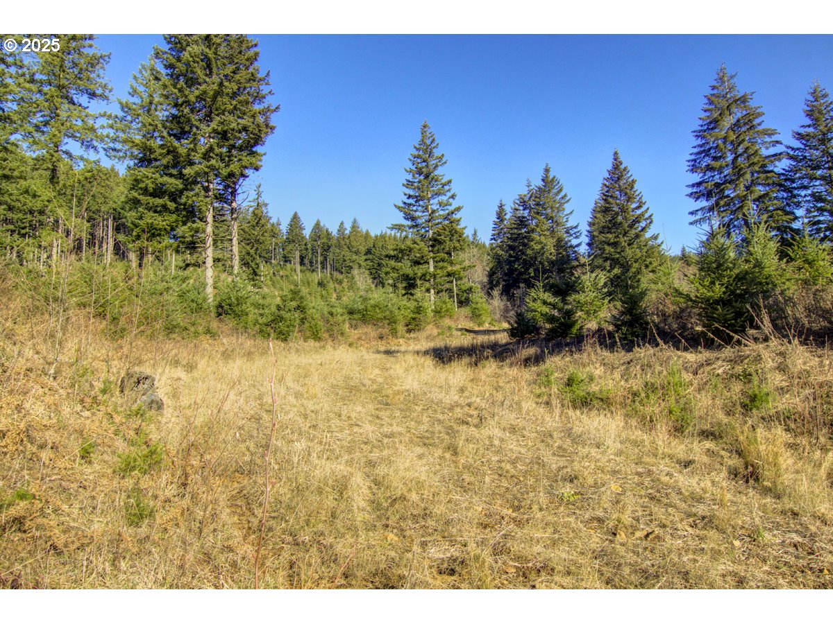 Ne Hancock Rd 1 Property Photo 5