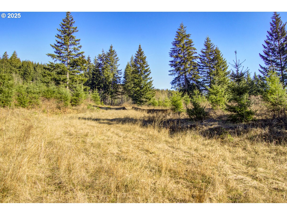 Ne Hancock Rd 1 Property Photo 6