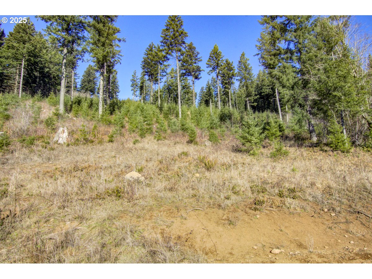 Ne Hancock Rd 1 Property Photo 11