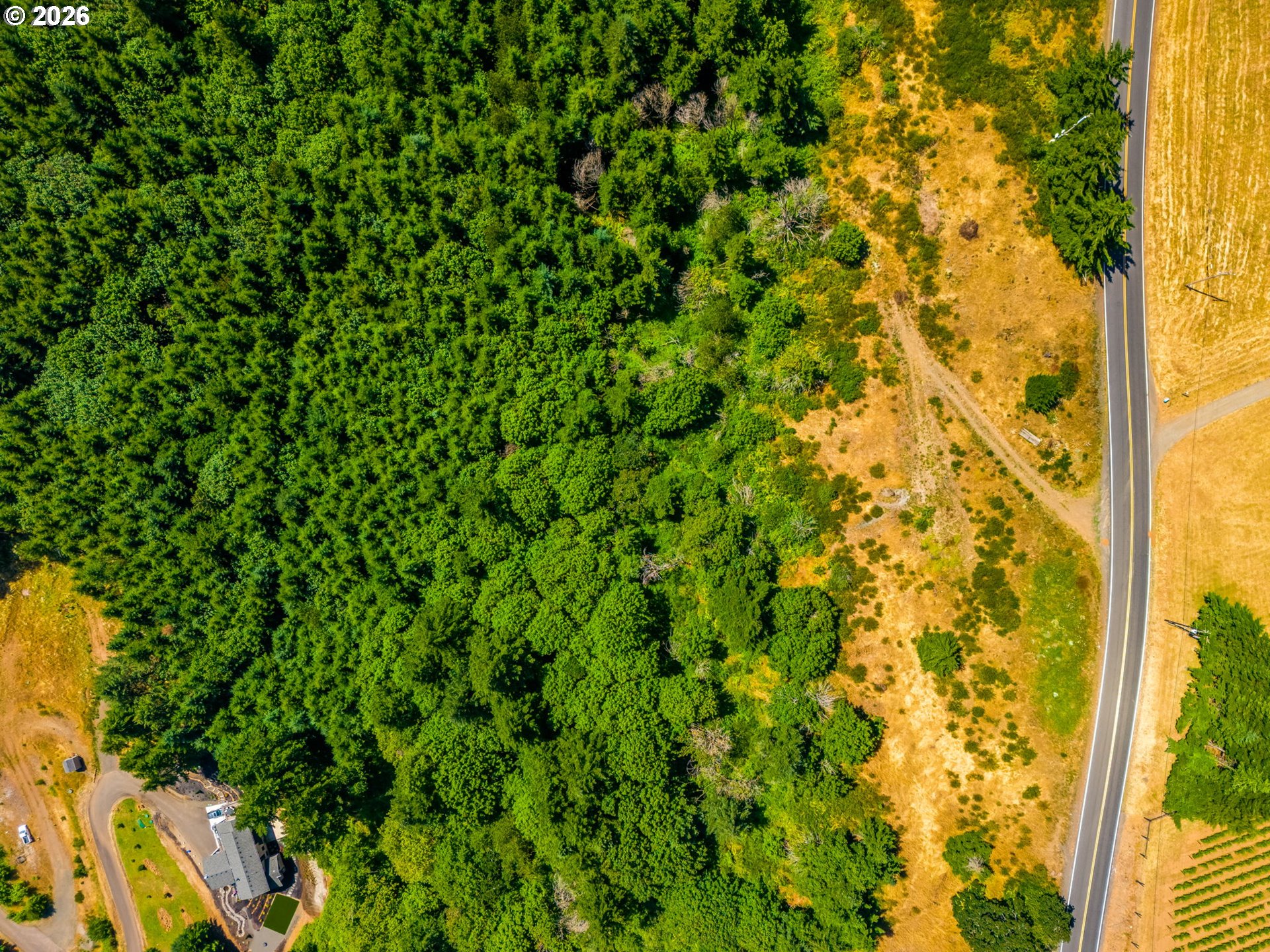 Moutain Top Property Photo 11
