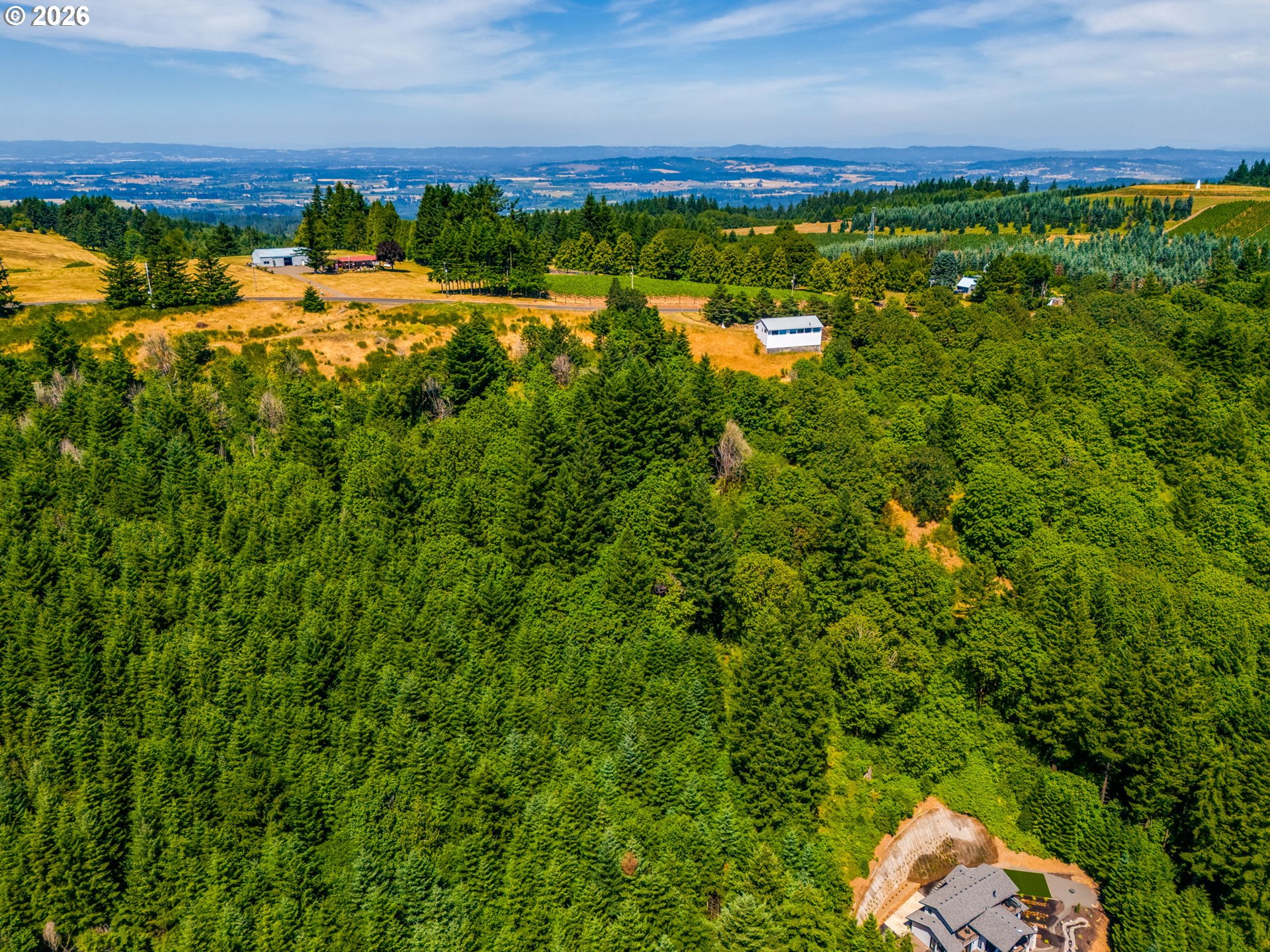 Moutain Top Property Photo 19