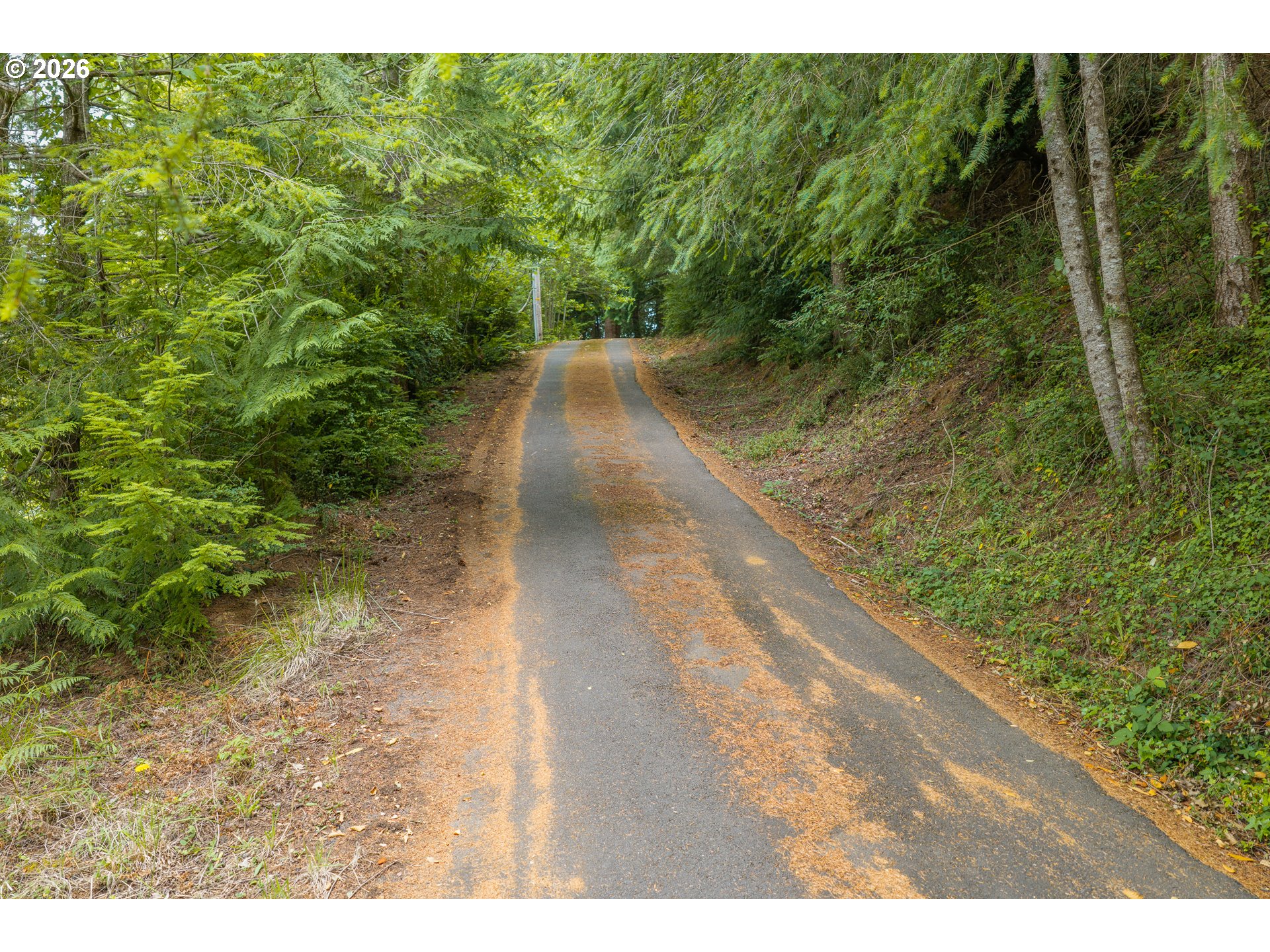 2100 Shelley Rd Property Photo 41