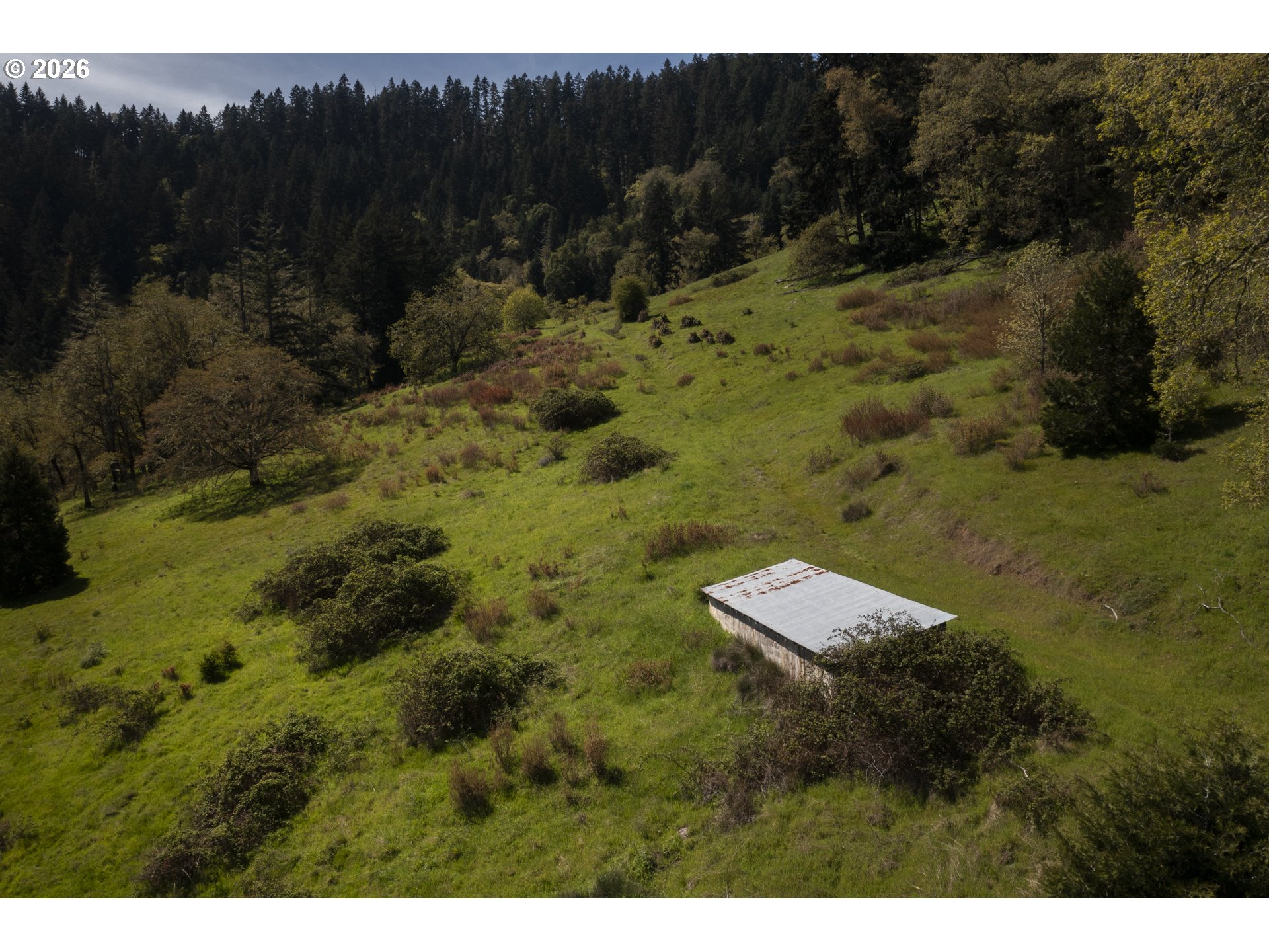 1349 Willis Creek Rd Property Photo 46