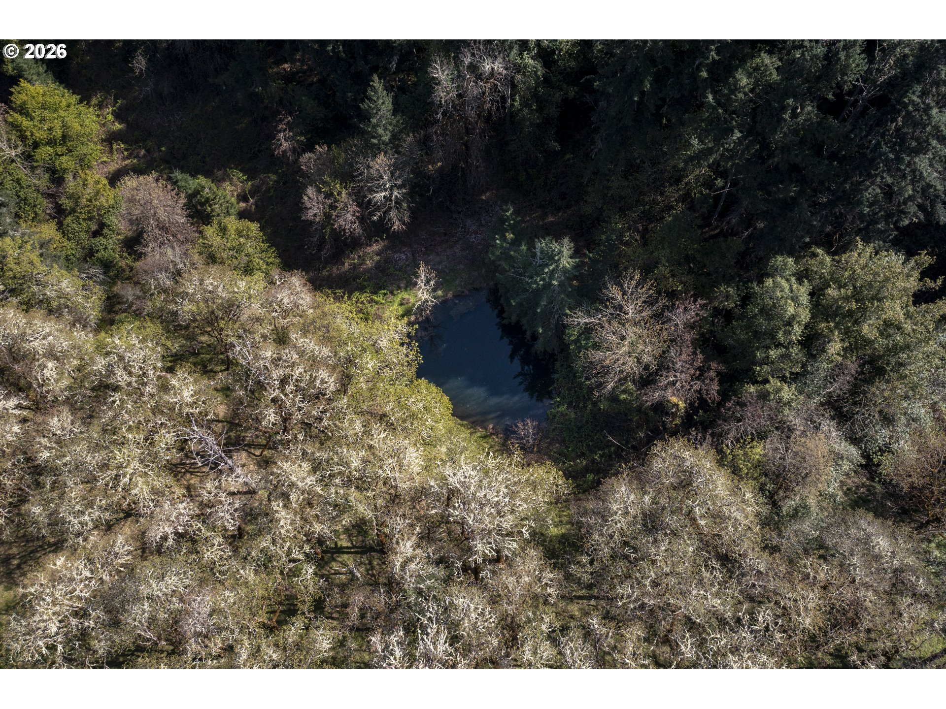 1349 Willis Creek Rd Property Photo 47
