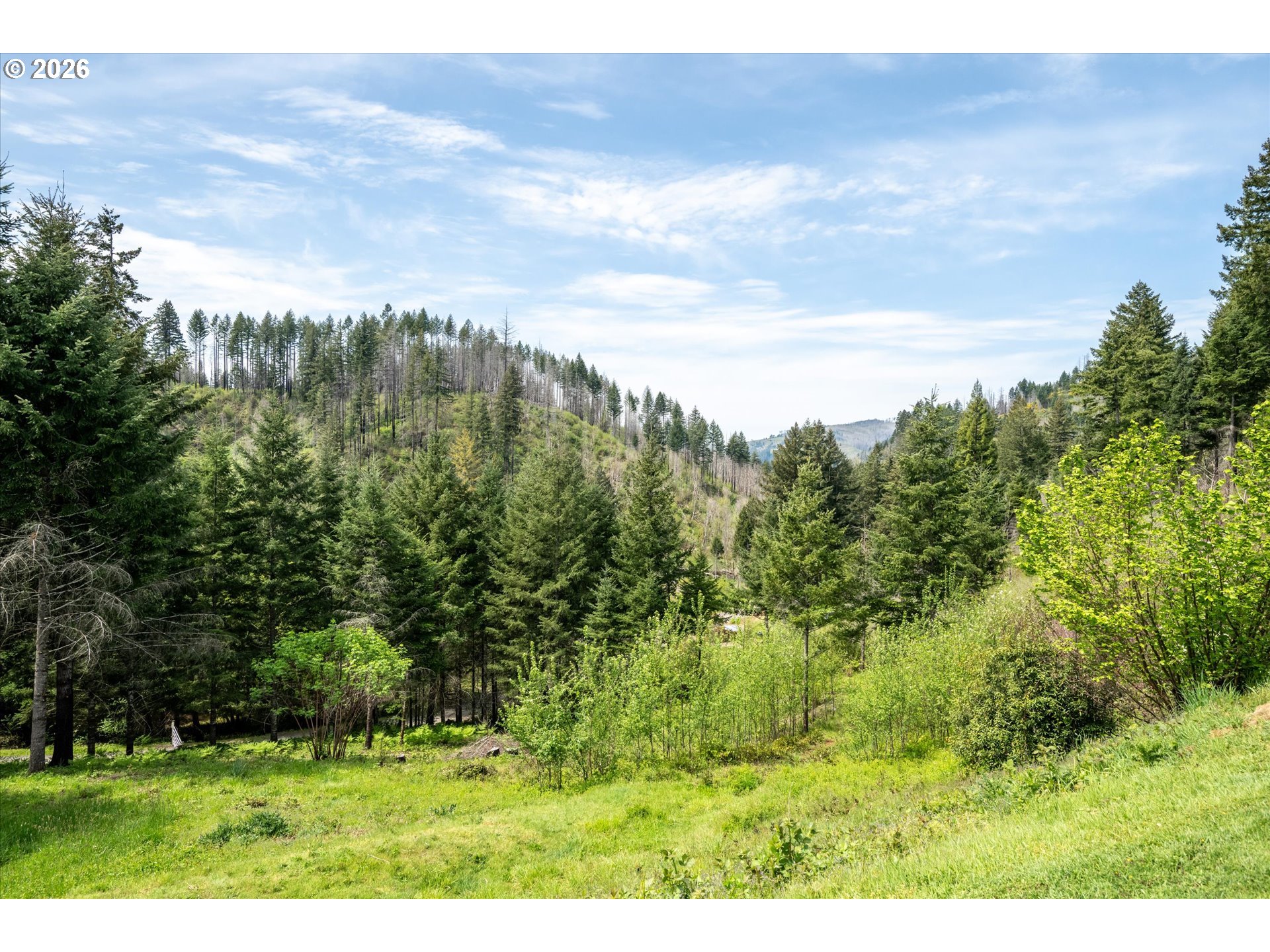 45947 N Gate Creek Rd Property Photo 35